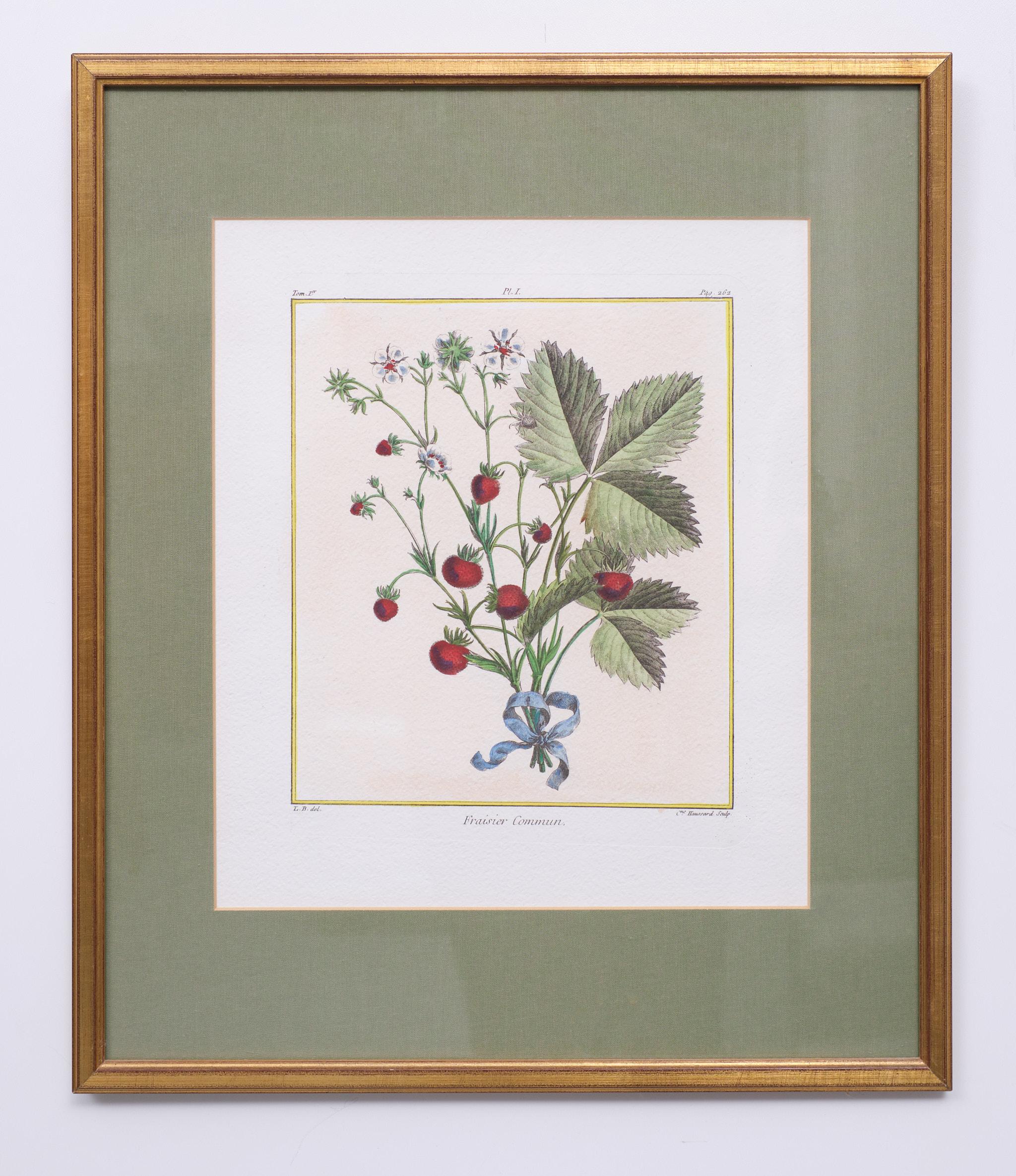 Set Elisabeth Haussard '1700-1804' 18 Century Hand Colored Engraving For Sale 3