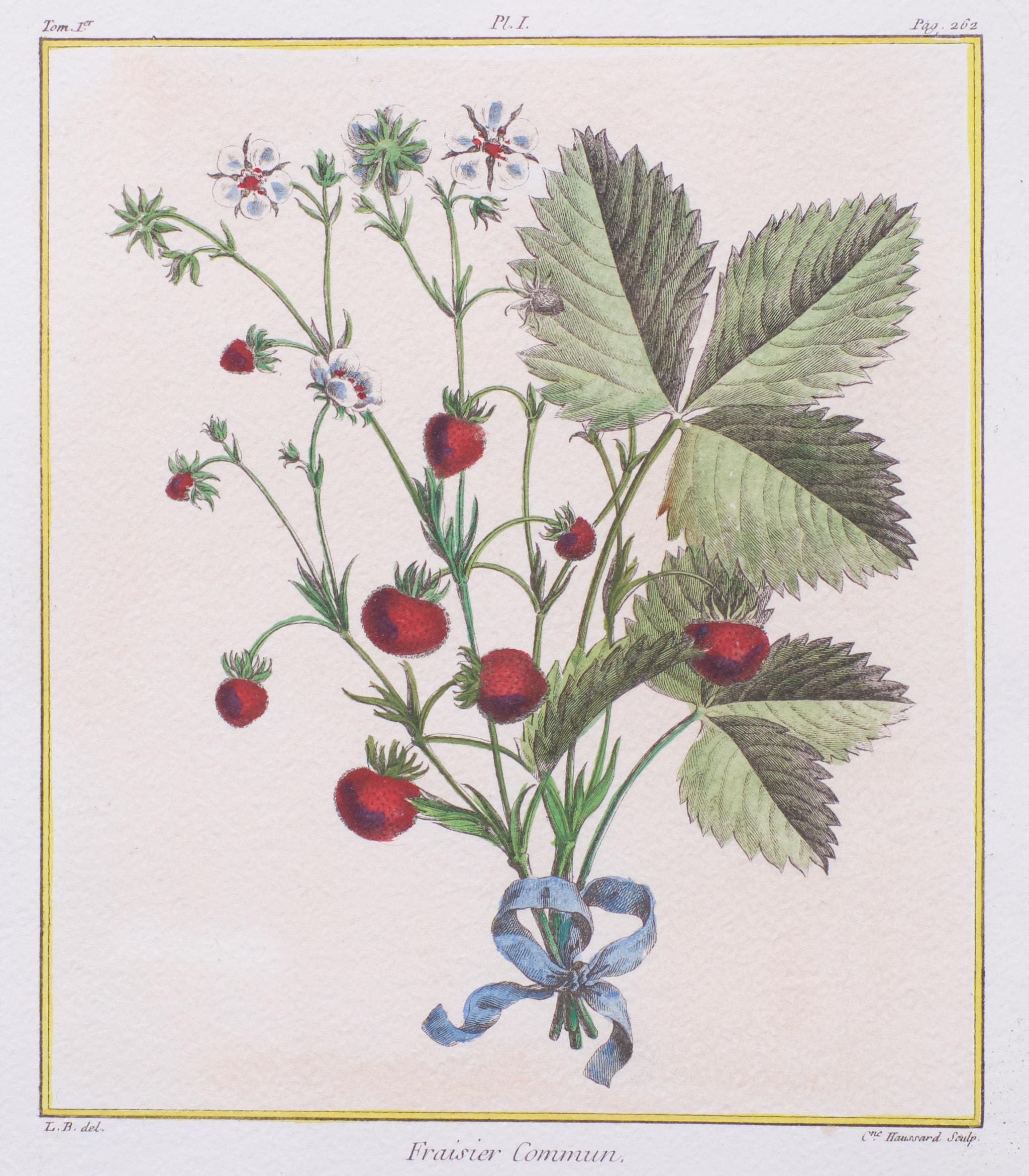 Ensemble Elisabeth Haussard '1700-1804' Gravure à la main du 18ème siècle en vente 2