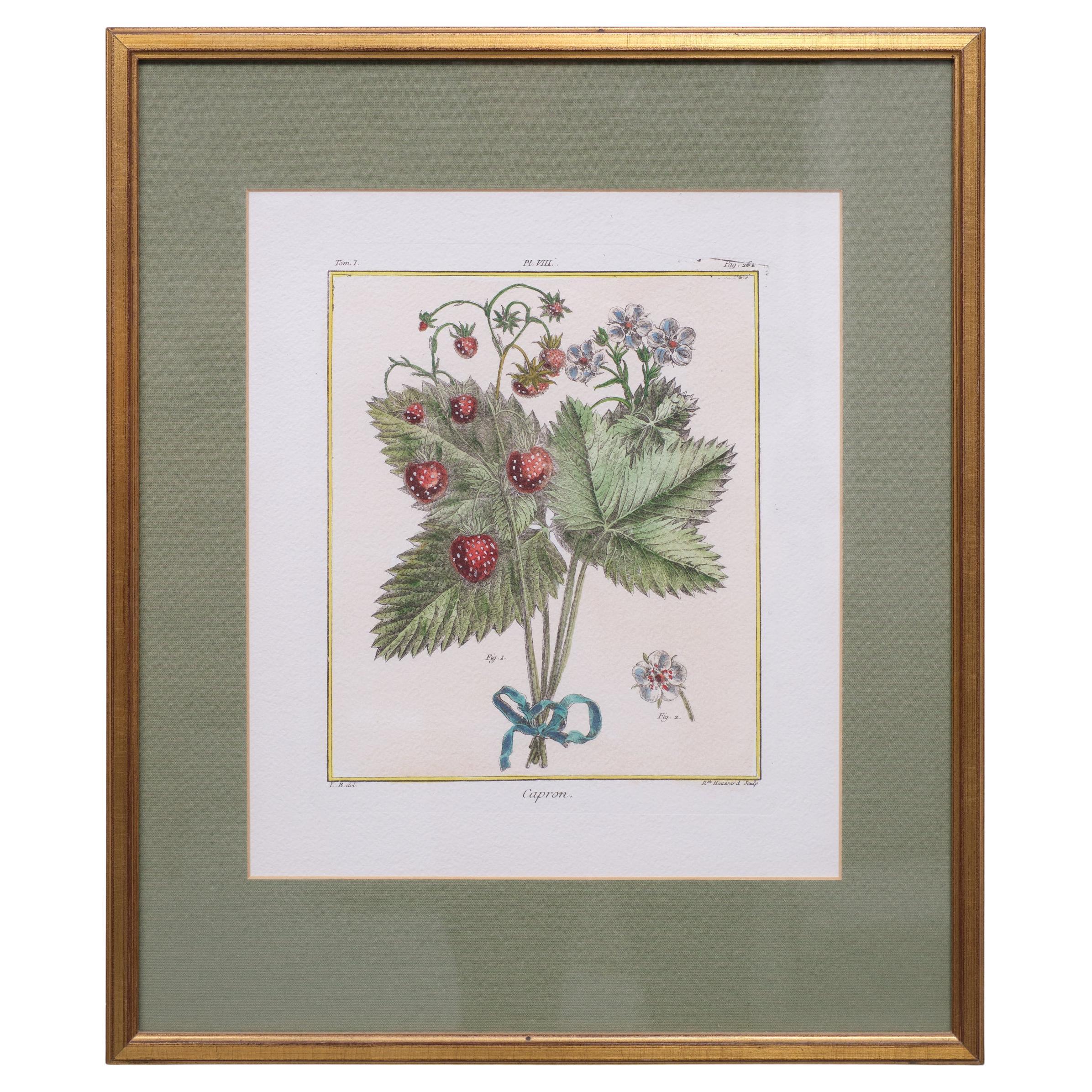 Set Elisabeth Haussard '1700-1804' 18 Century Hand Colored Engraving For Sale