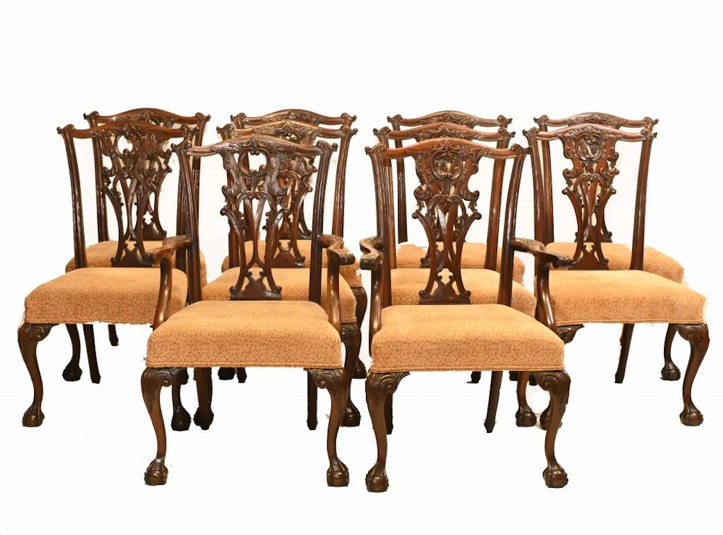 Set of Chippendale style mahogany dining chairs
Set of ten - two arm chairs and eight side chairs
Classic ball and claw feet
Various tables to match if you are looking for a complete dining suite
Offered in great shape ready for home use right