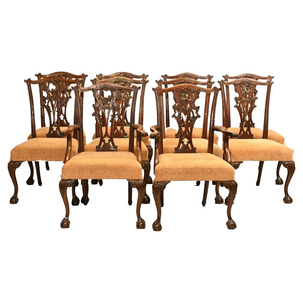 Set Gothic Chippendale Dining Chairs Mahogany Antique 1890 For Sale