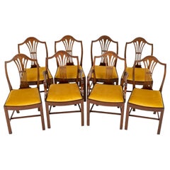 Set Hepplewhite Dining Chairs Mahogany