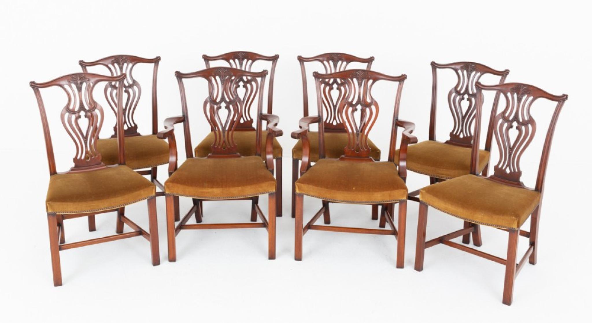 Set Sedie da pranzo Hepplewhite Mogano