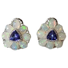Stud Earrings