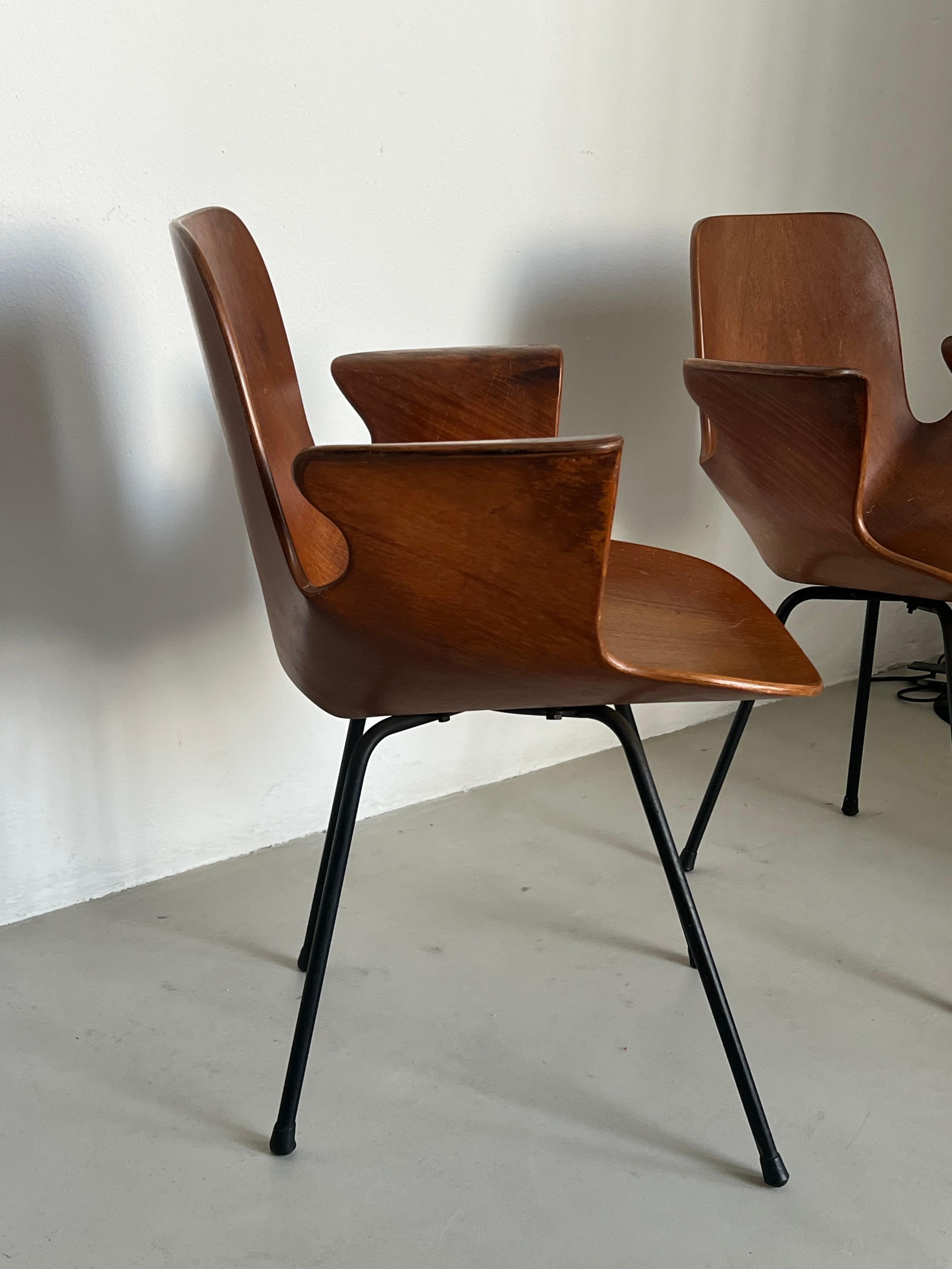 Set  Italian Mid Century Collectible Medea 102 Wood Dining Chairs by Tagliabue For Sale 4
