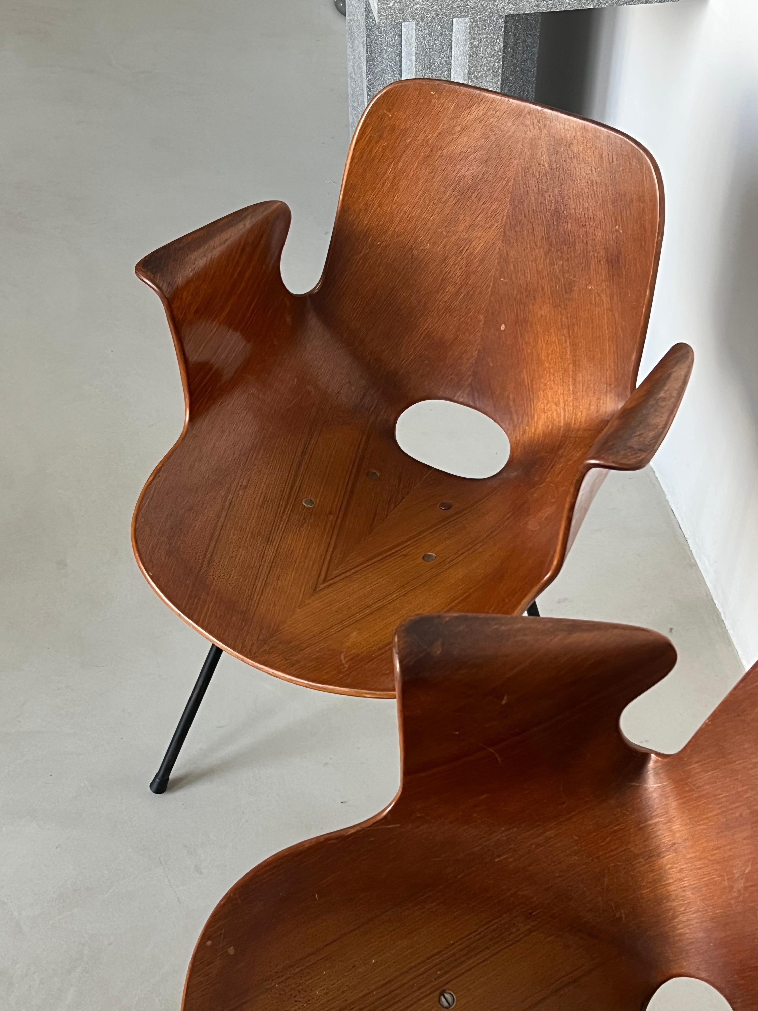 Set  Italian Mid Century Collectible Medea 102 Wood Dining Chairs by Tagliabue For Sale 7