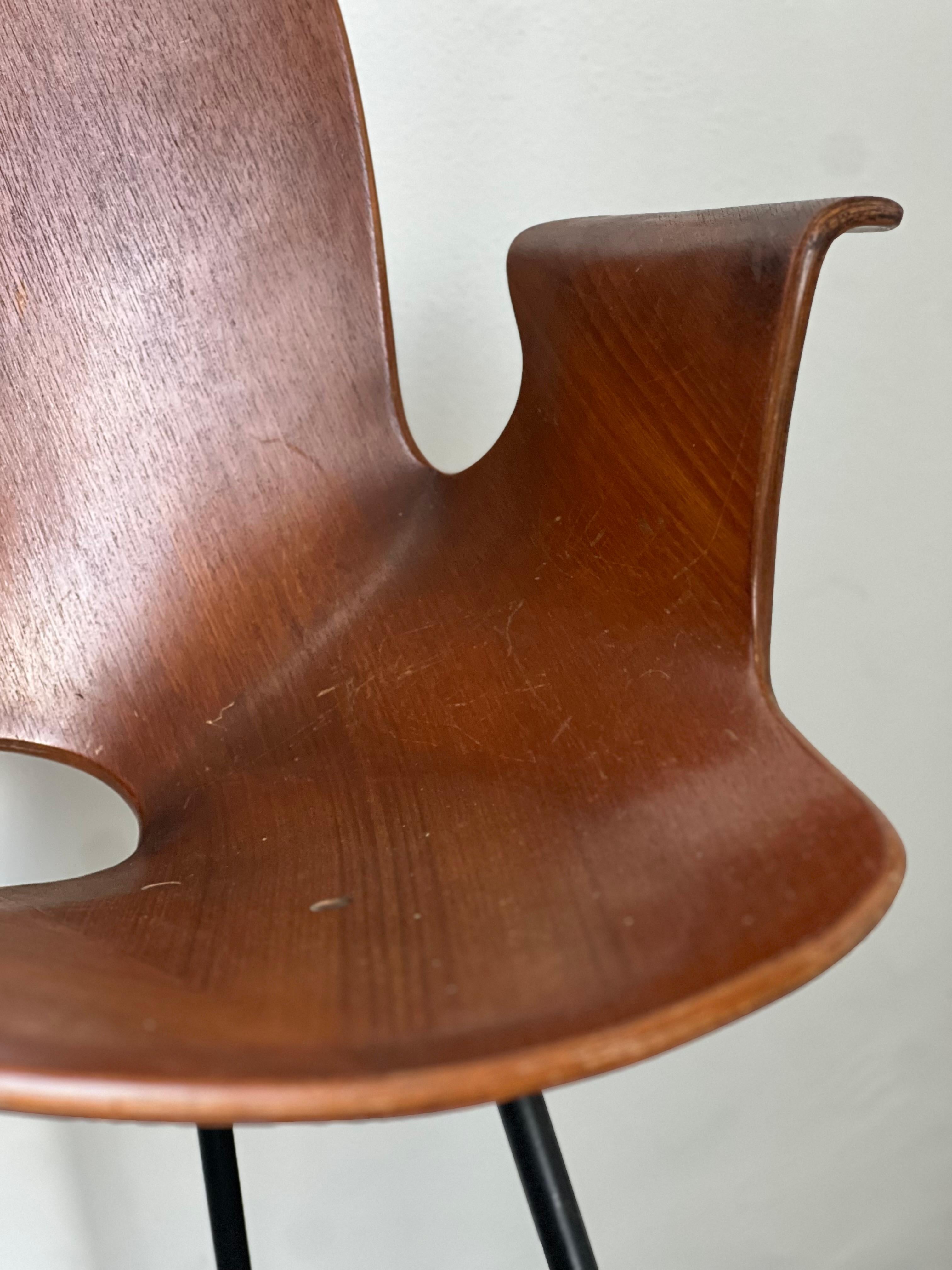 Set  Italian Mid Century Collectible Medea 102 Wood Dining Chairs by Tagliabue For Sale 12