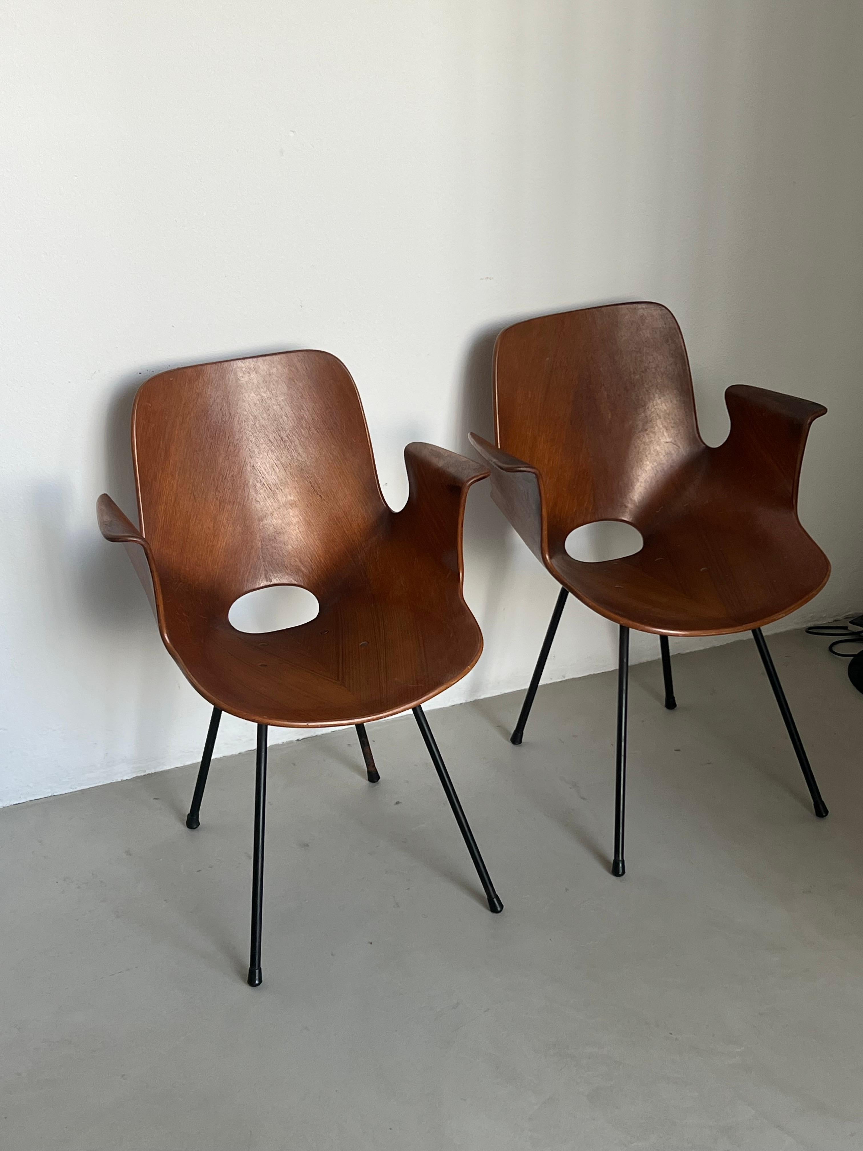Set  Italian Mid Century Collectible Medea 102 Wood Dining Chairs by Tagliabue In Good Condition For Sale In Milano, IT