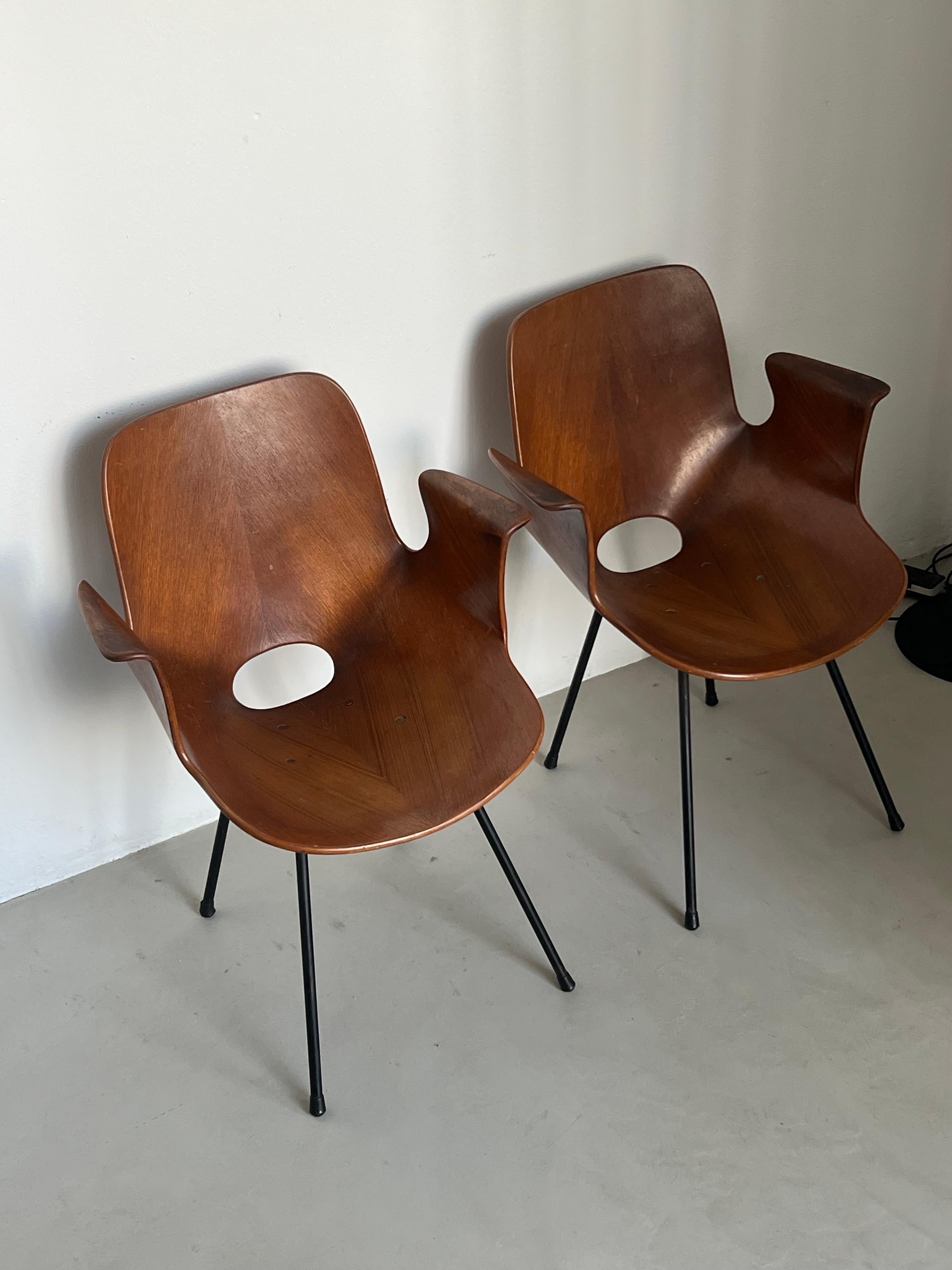 Mid-20th Century Set  Italian Mid Century Collectible Medea 102 Wood Dining Chairs by Tagliabue For Sale