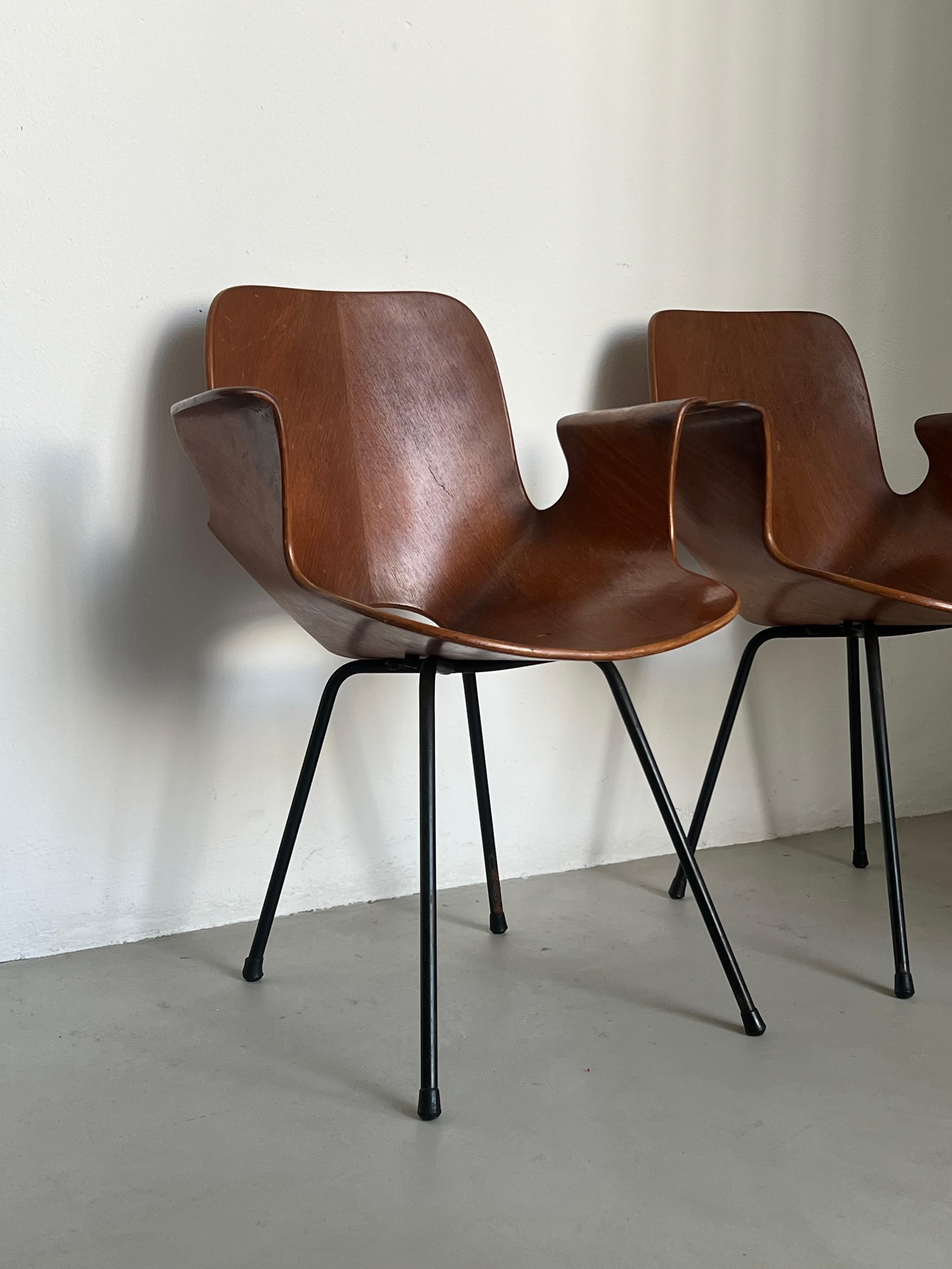 Metal Set  Italian Mid Century Collectible Medea 102 Wood Dining Chairs by Tagliabue For Sale
