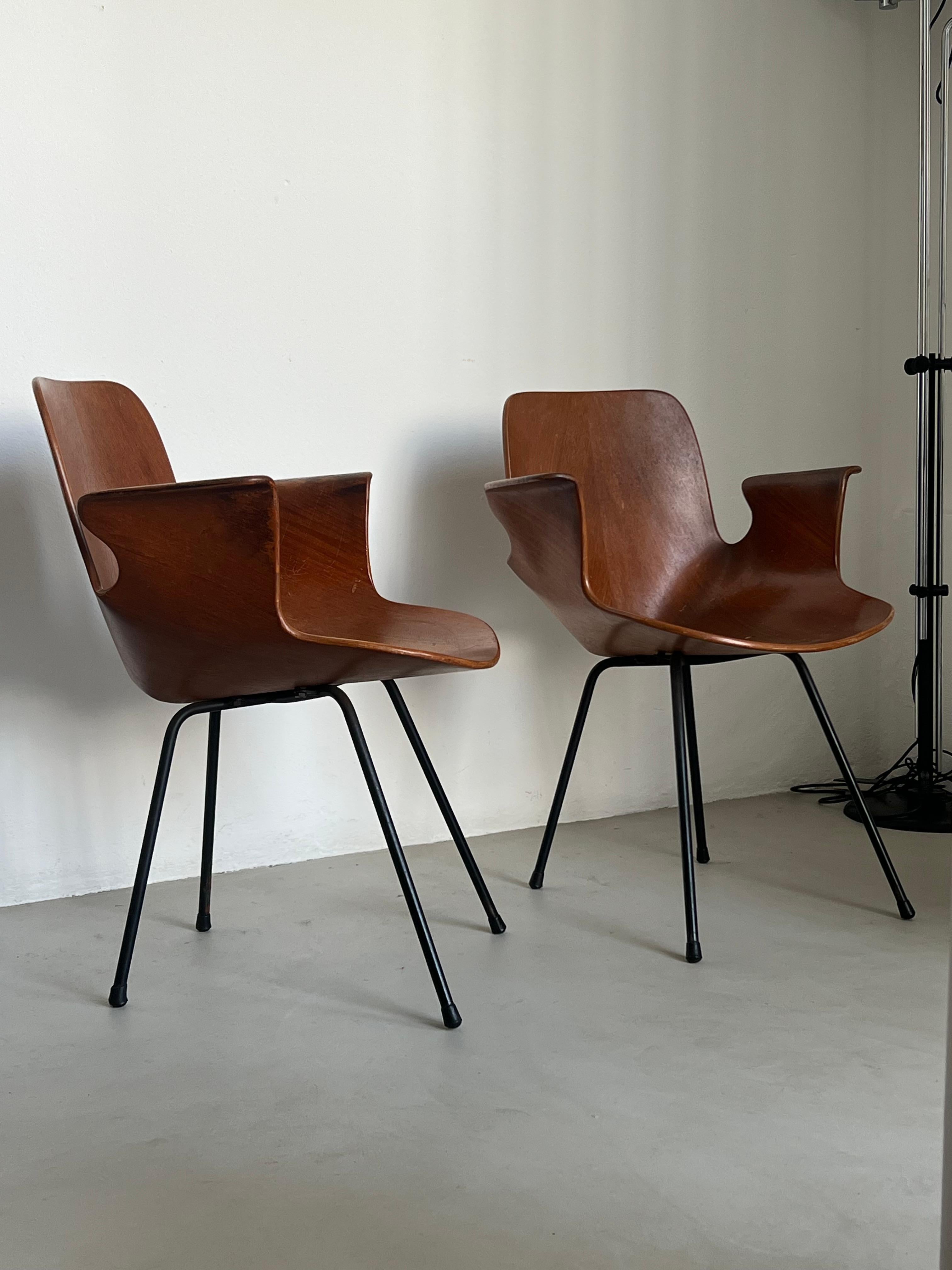 Set  Italian Mid Century Collectible Medea 102 Wood Dining Chairs by Tagliabue For Sale 1