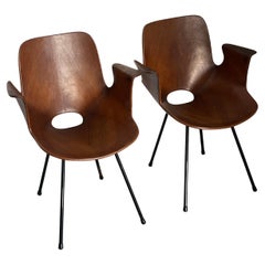 Set  Italian Mid Century Collectible Medea 102 Wood Dining Chairs by Tagliabue