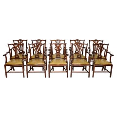 Set of 10 Used Chippendale Carver Dining Chairs