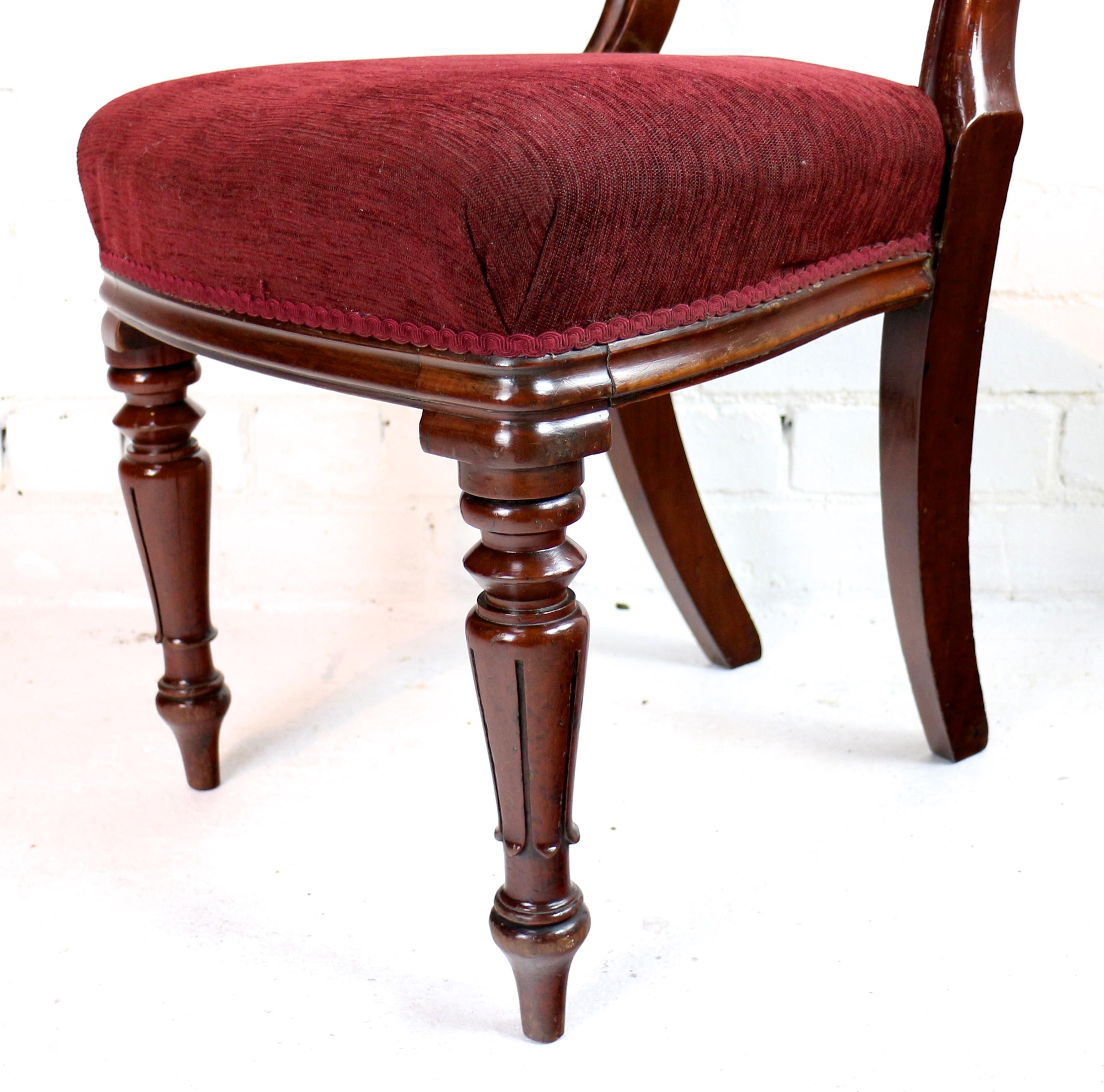 Ensemble de 10 chaises de salle à manger anglaises anciennes William IV en acajou par J Proctor en vente 4
