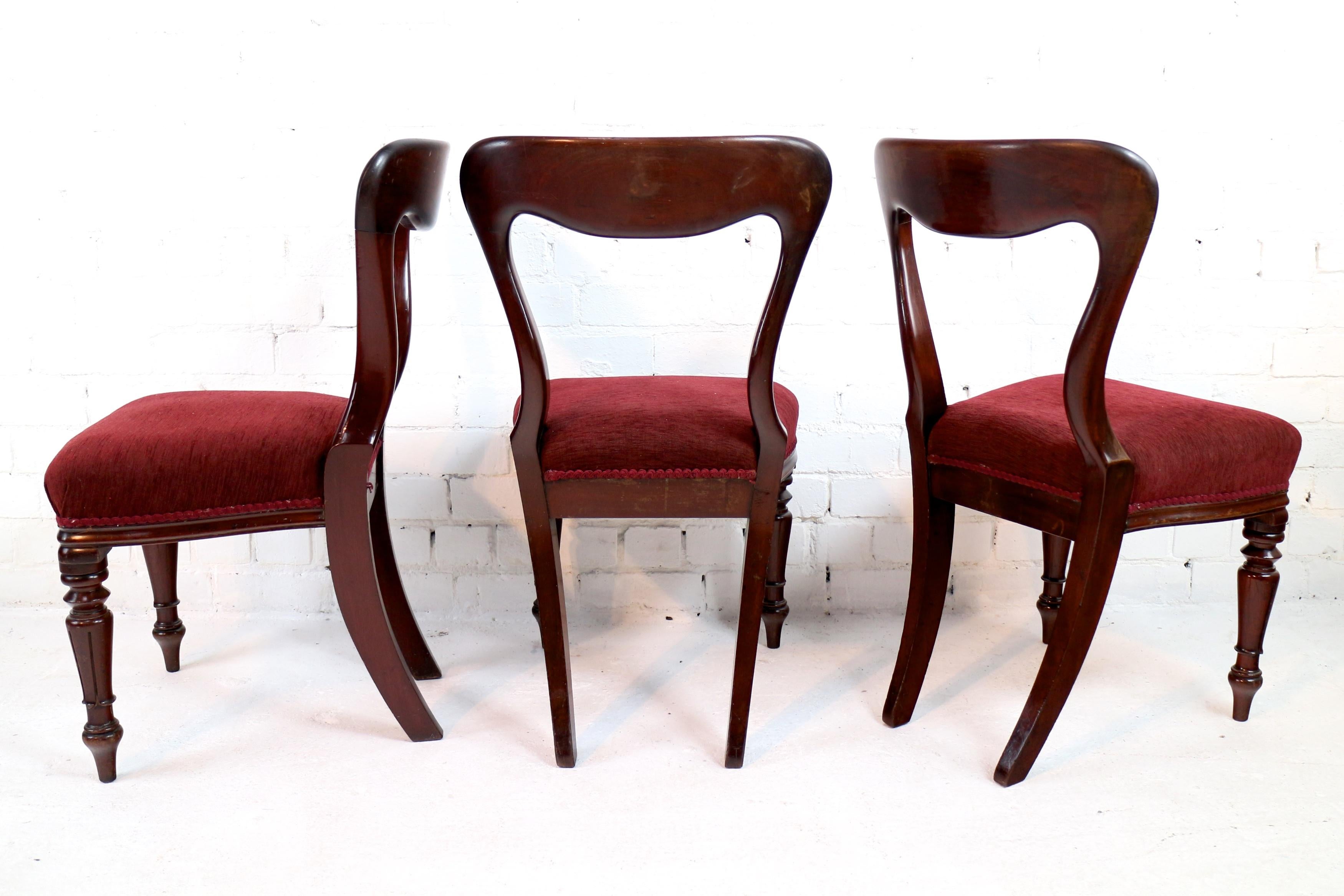 19th Century Set of 10 Antique English William IV Mahogany Dining Chairs by J Proctor For Sale