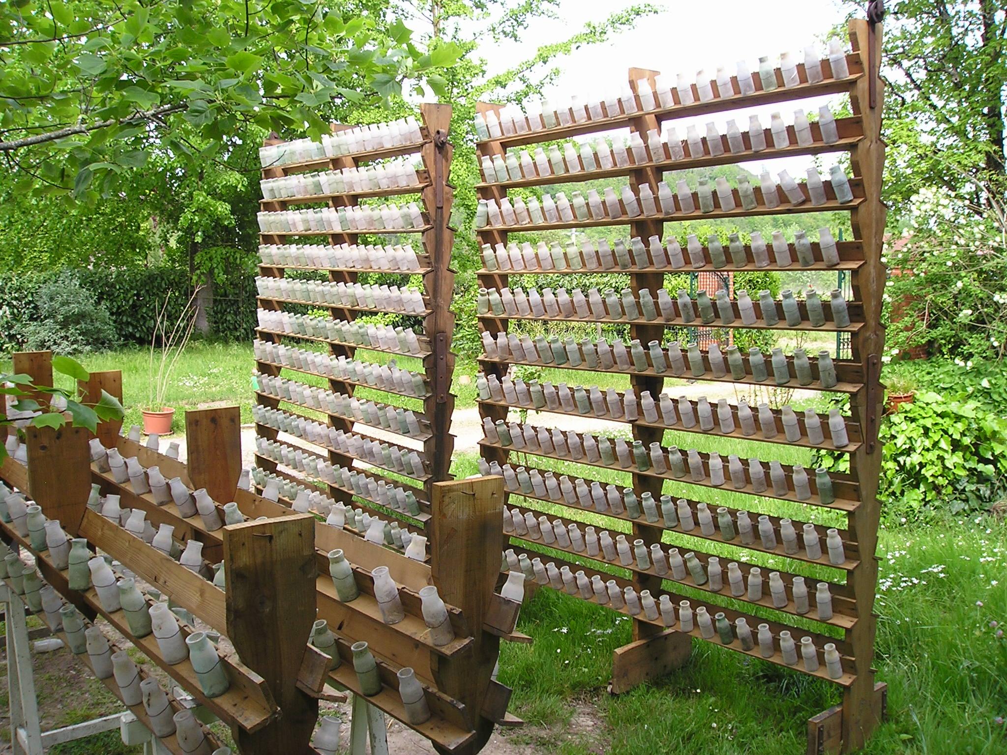  10 Blown Glass Bottles Grape Chamber Thomery Moissac France For Sale 2