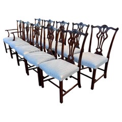 Dining Room Chairs