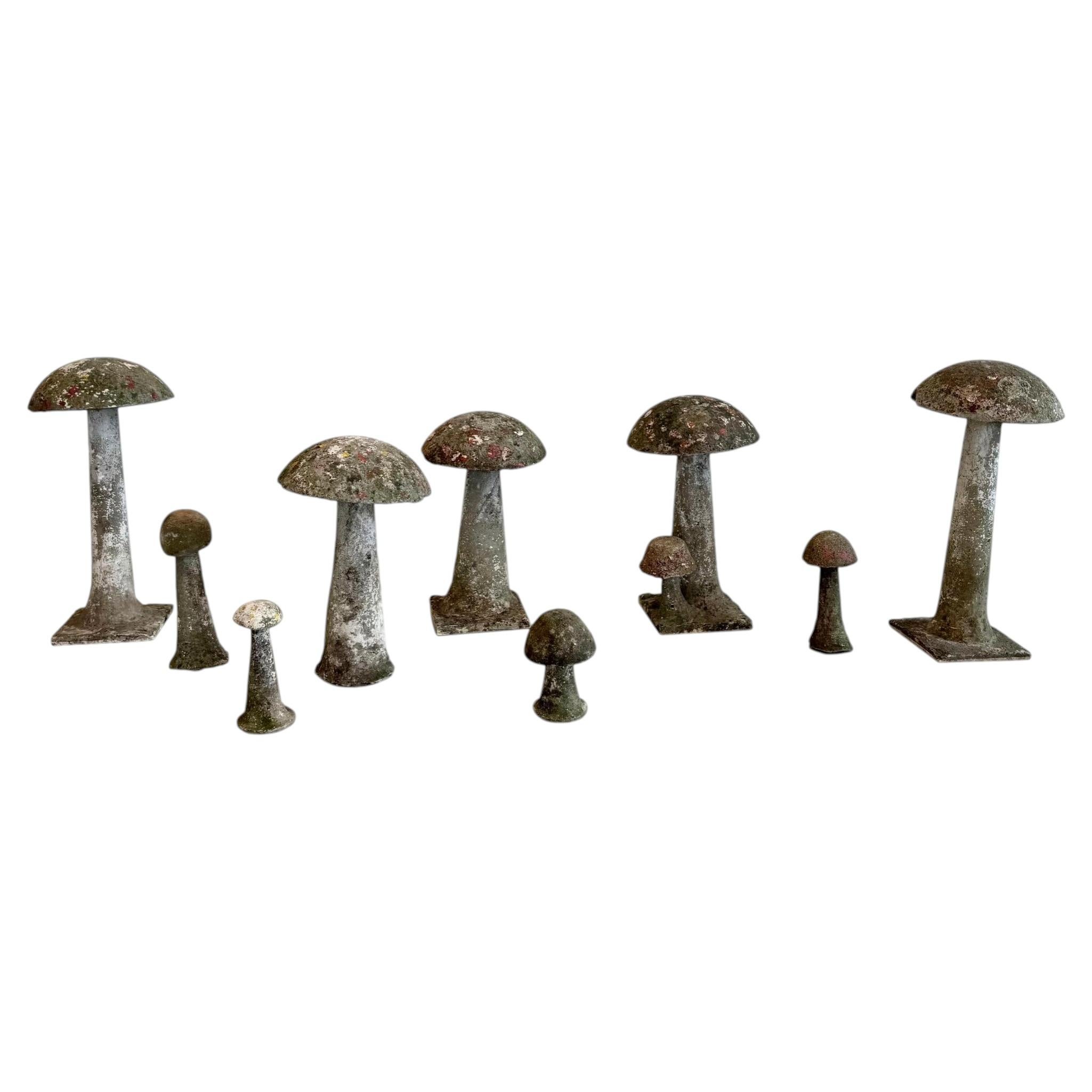 Set of 10 Concrete Mushrooms, 1950s France