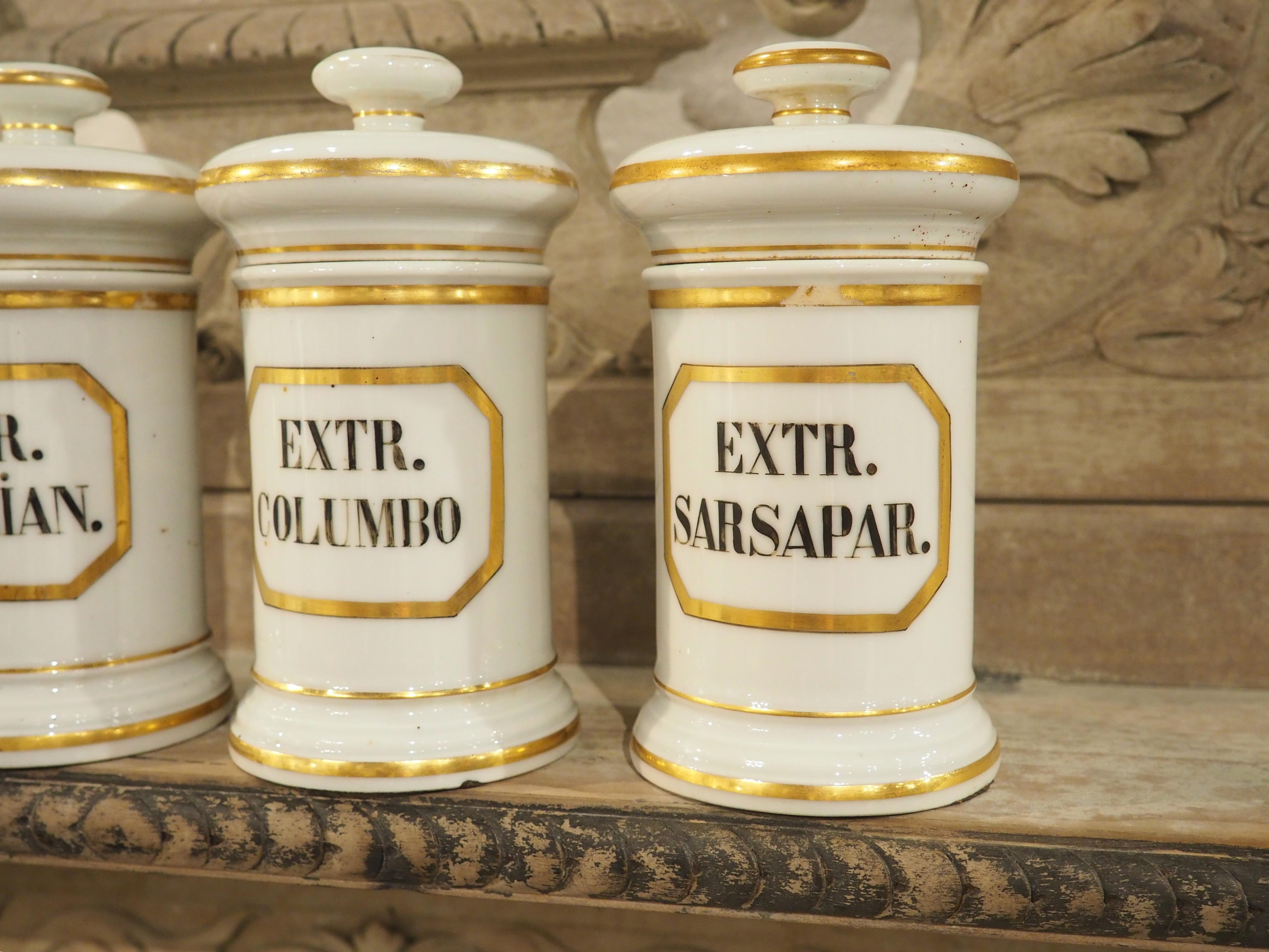 Ensemble de 10 pots d'apothicaire en porcelaine peinte à la main, années 1900 en vente 4