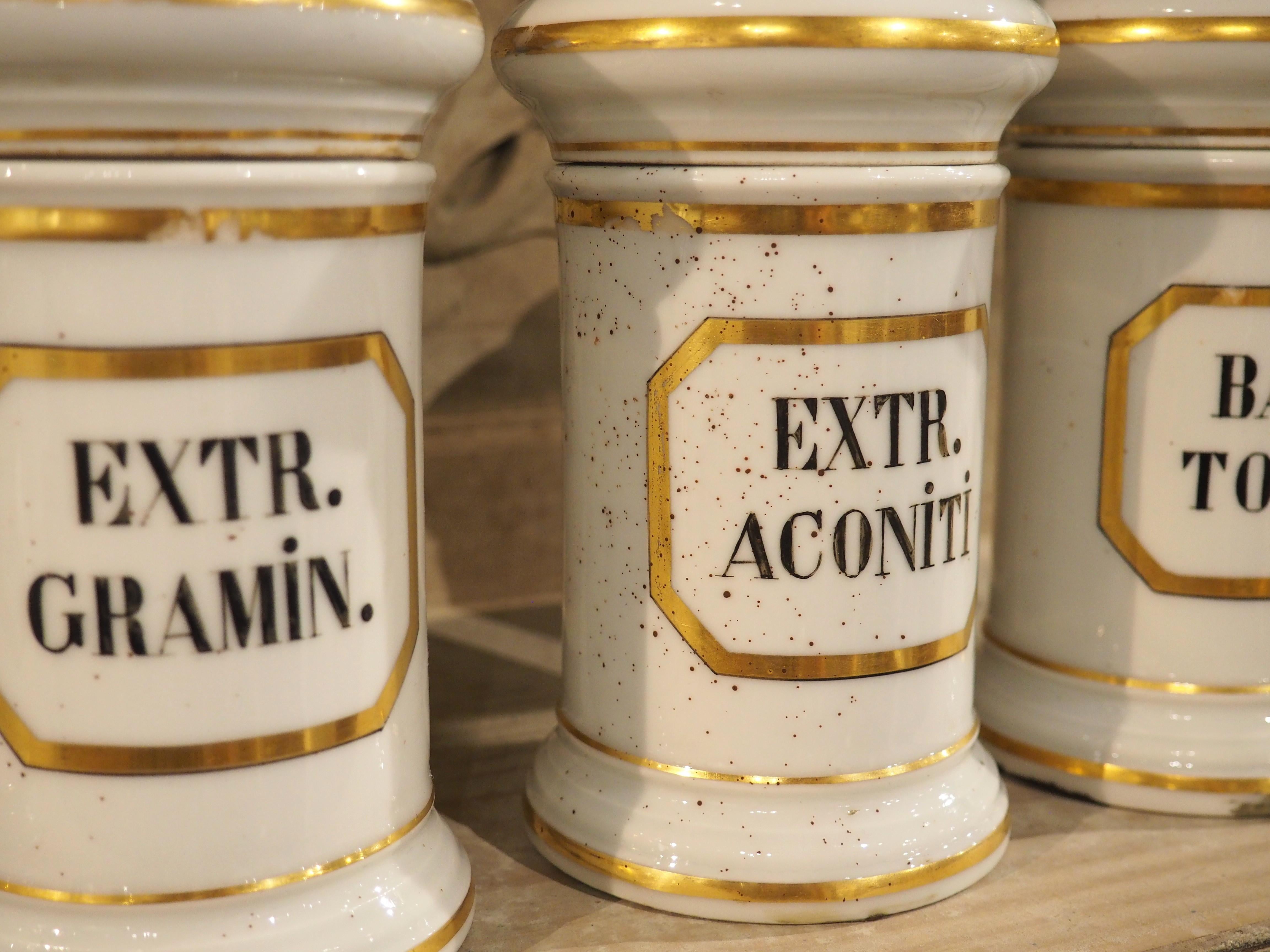 Ensemble de 10 pots d'apothicaire en porcelaine peinte à la main, années 1900 en vente 4