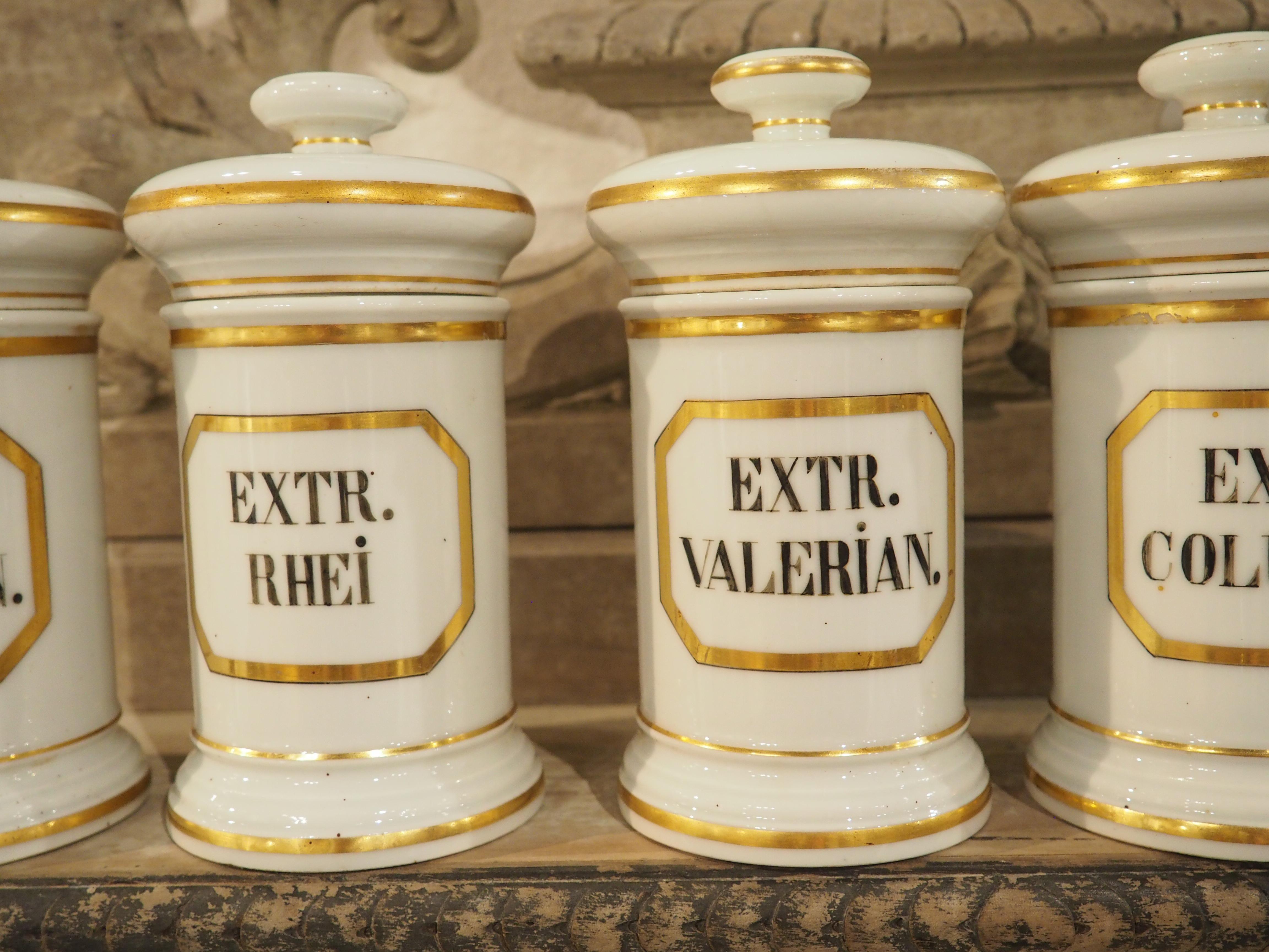 Ensemble de 10 pots d'apothicaire en porcelaine peinte à la main, années 1900 en vente 5