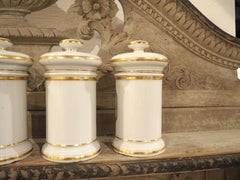 Set of 10 French Hand Painted Porcelain Apothecary Jars, 1900s
