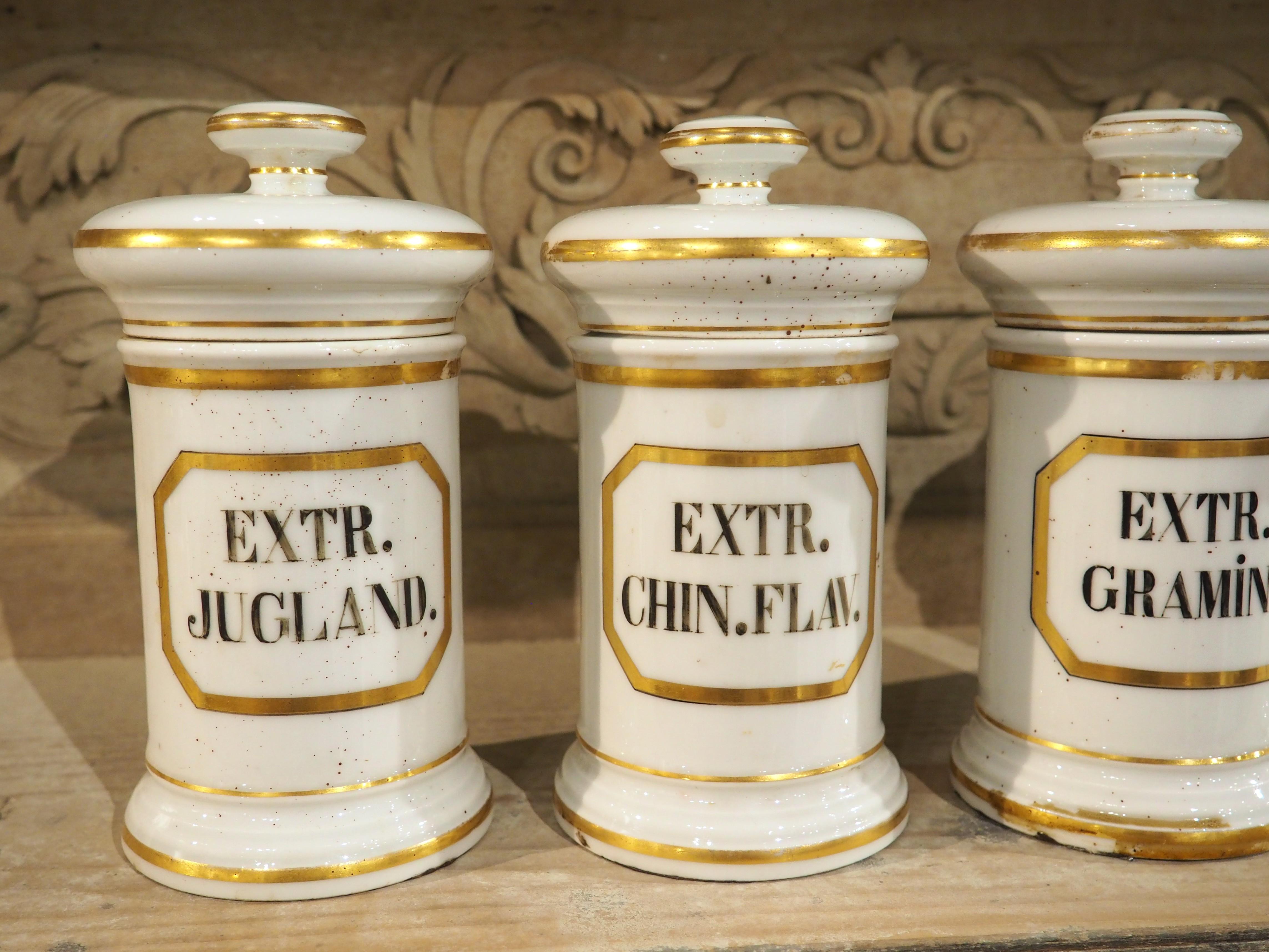 Français Ensemble de 10 pots d'apothicaire en porcelaine peinte à la main, années 1900 en vente