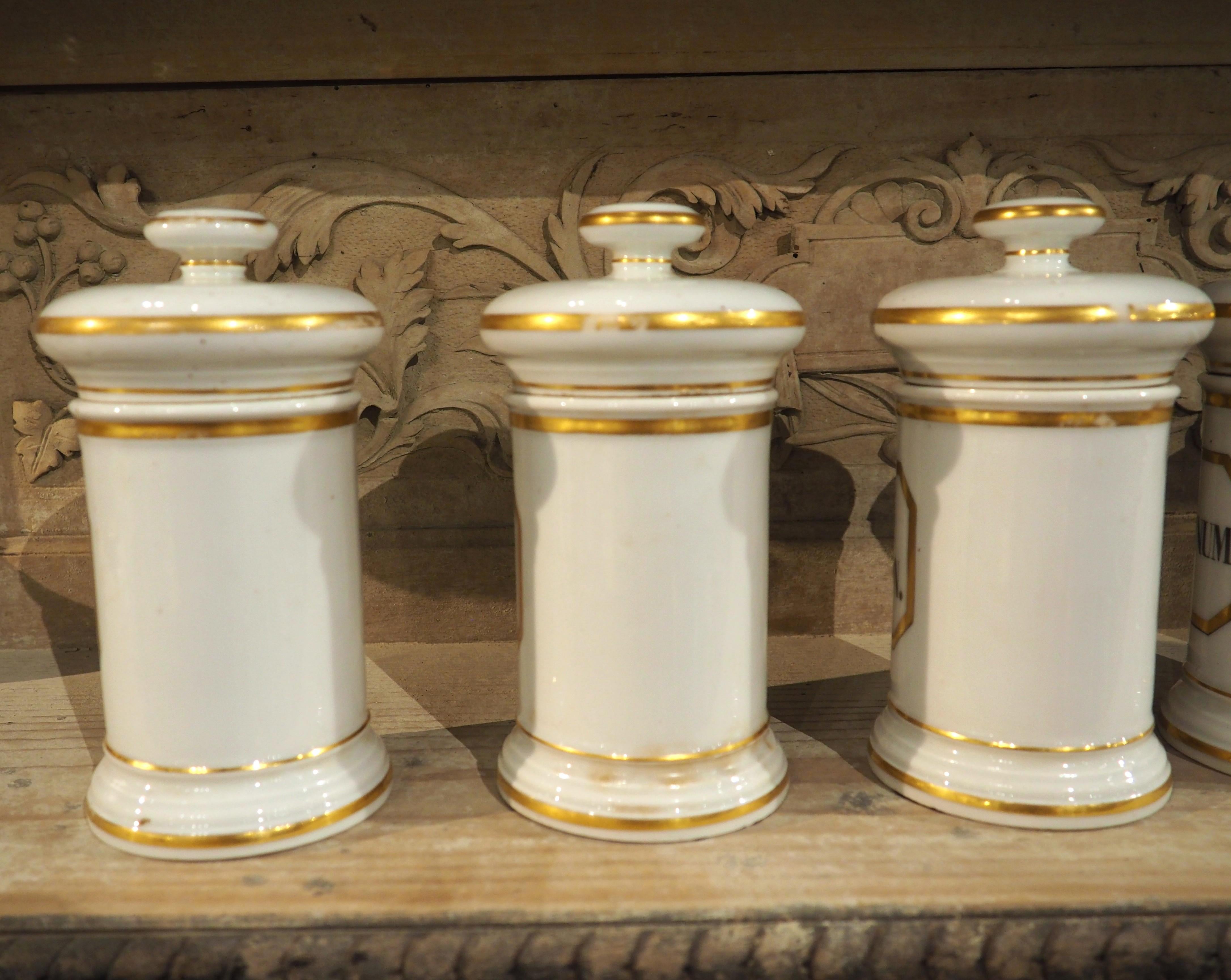 Peint à la main Ensemble de 10 pots d'apothicaire en porcelaine peinte à la main, années 1900 en vente