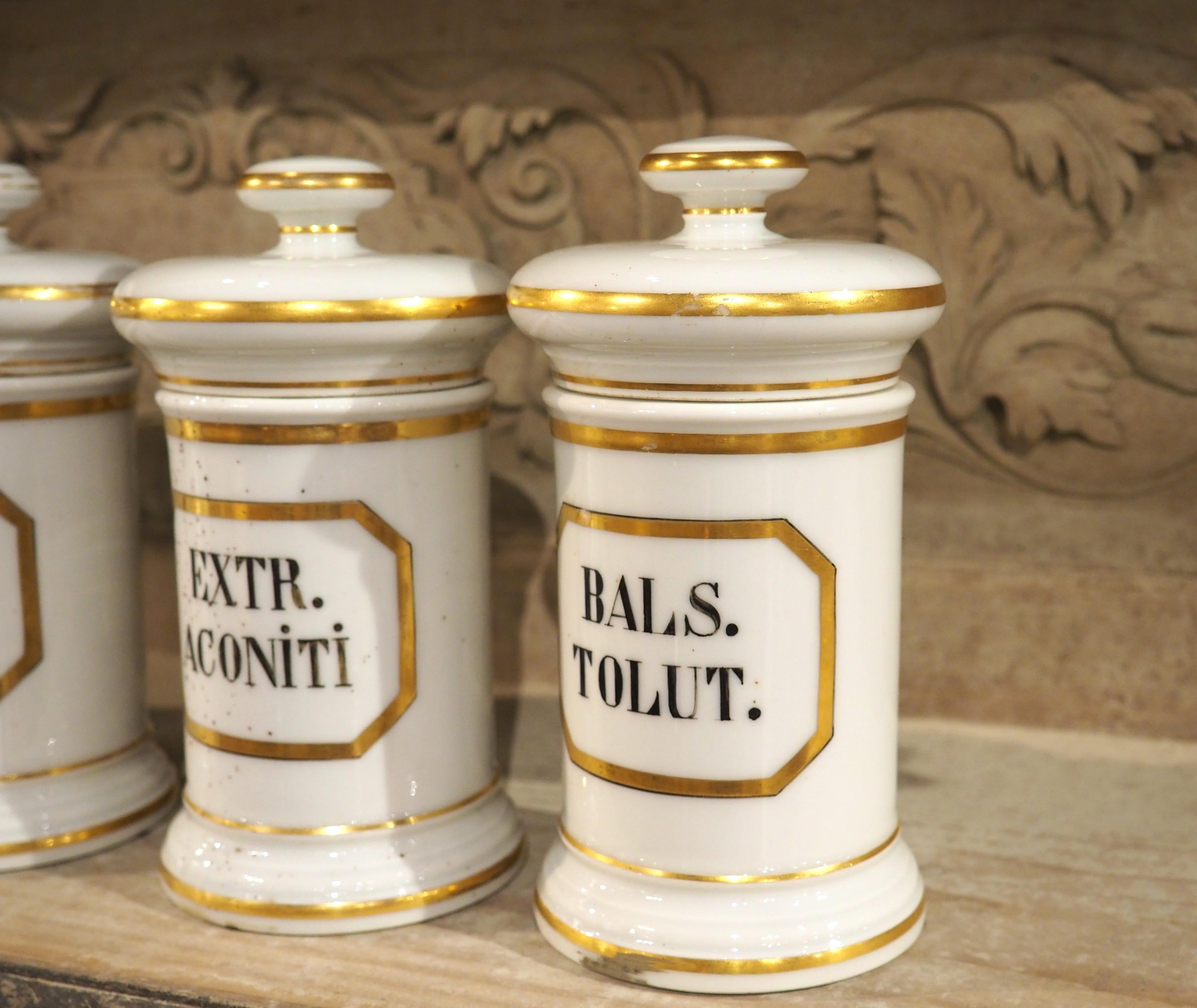 Ensemble de 10 pots d'apothicaire en porcelaine peinte à la main, années 1900 Bon état - En vente à Dallas, TX