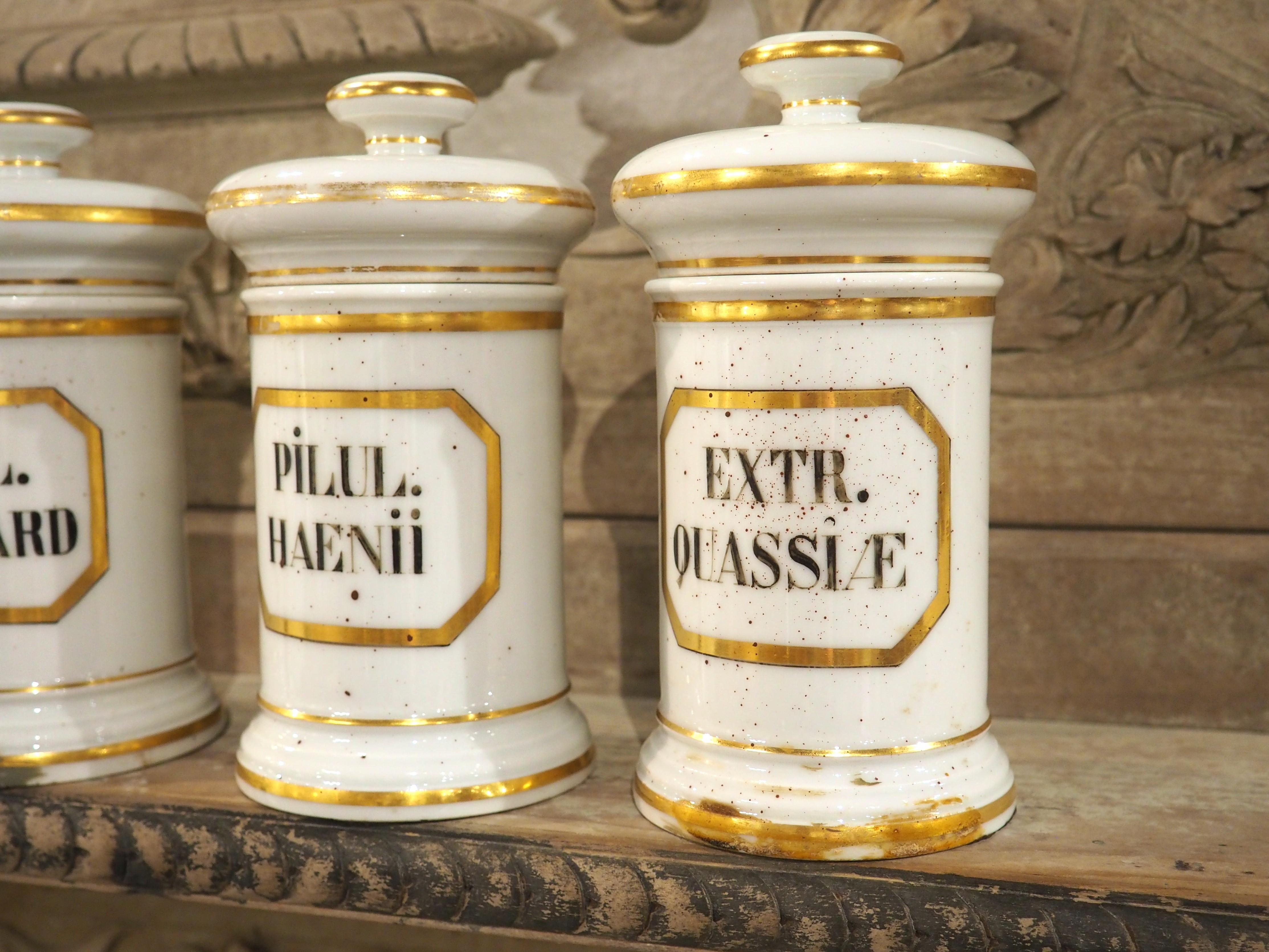 20ième siècle Ensemble de 10 pots d'apothicaire en porcelaine peinte à la main, années 1900 en vente