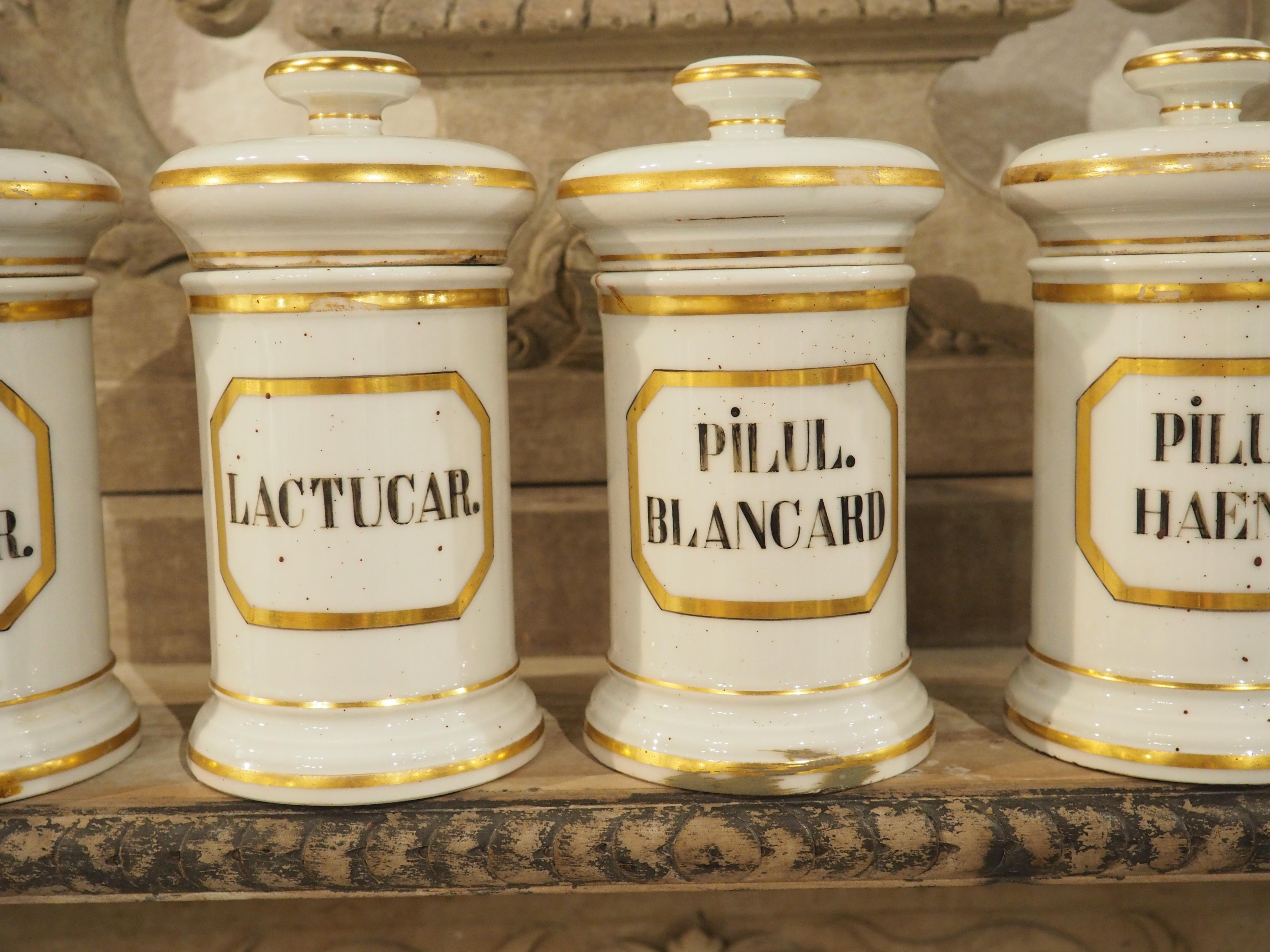Porcelaine Ensemble de 10 pots d'apothicaire en porcelaine peinte à la main, années 1900 en vente