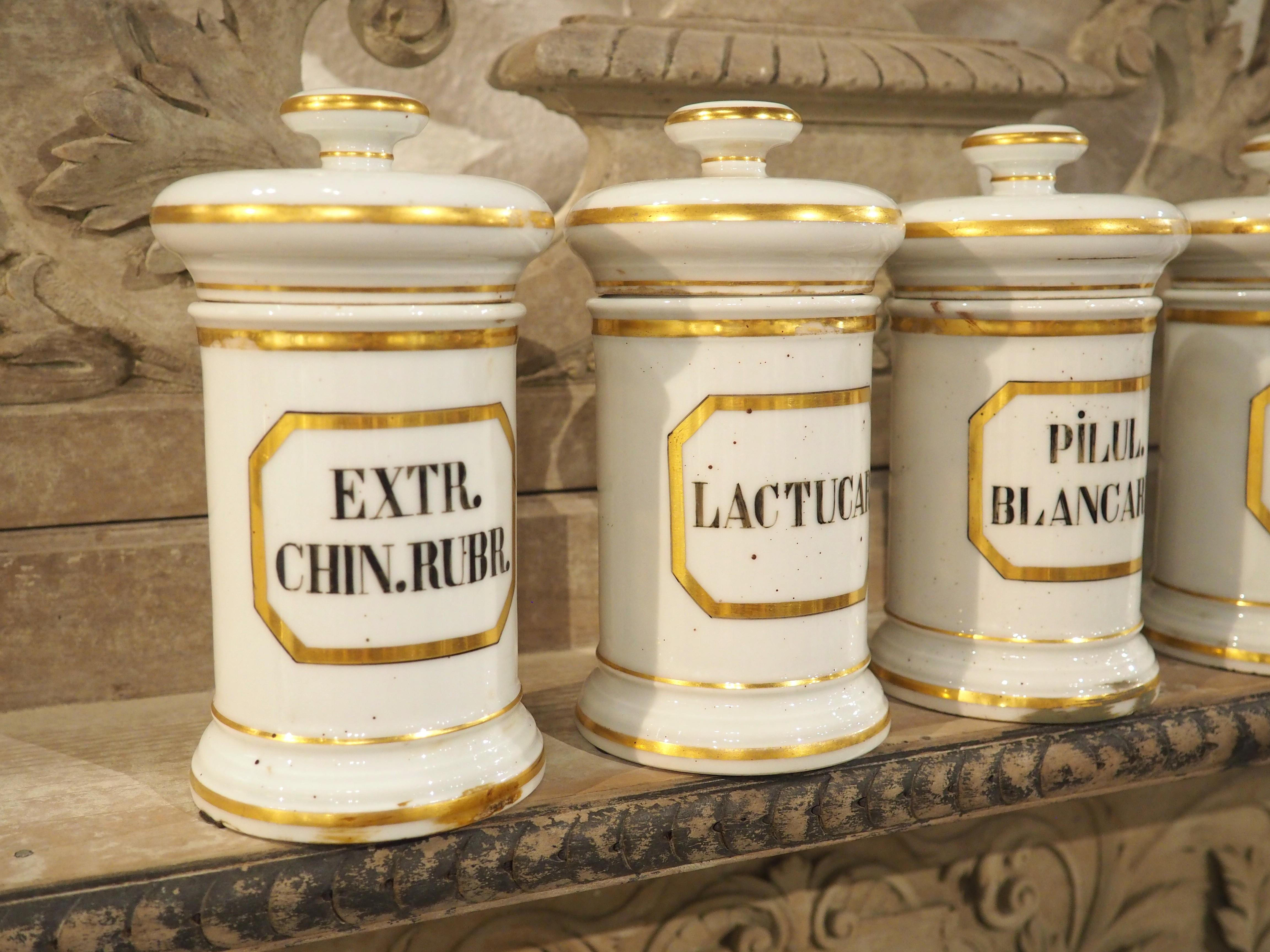 Ensemble de 10 pots d'apothicaire en porcelaine peinte à la main, années 1900 en vente 1