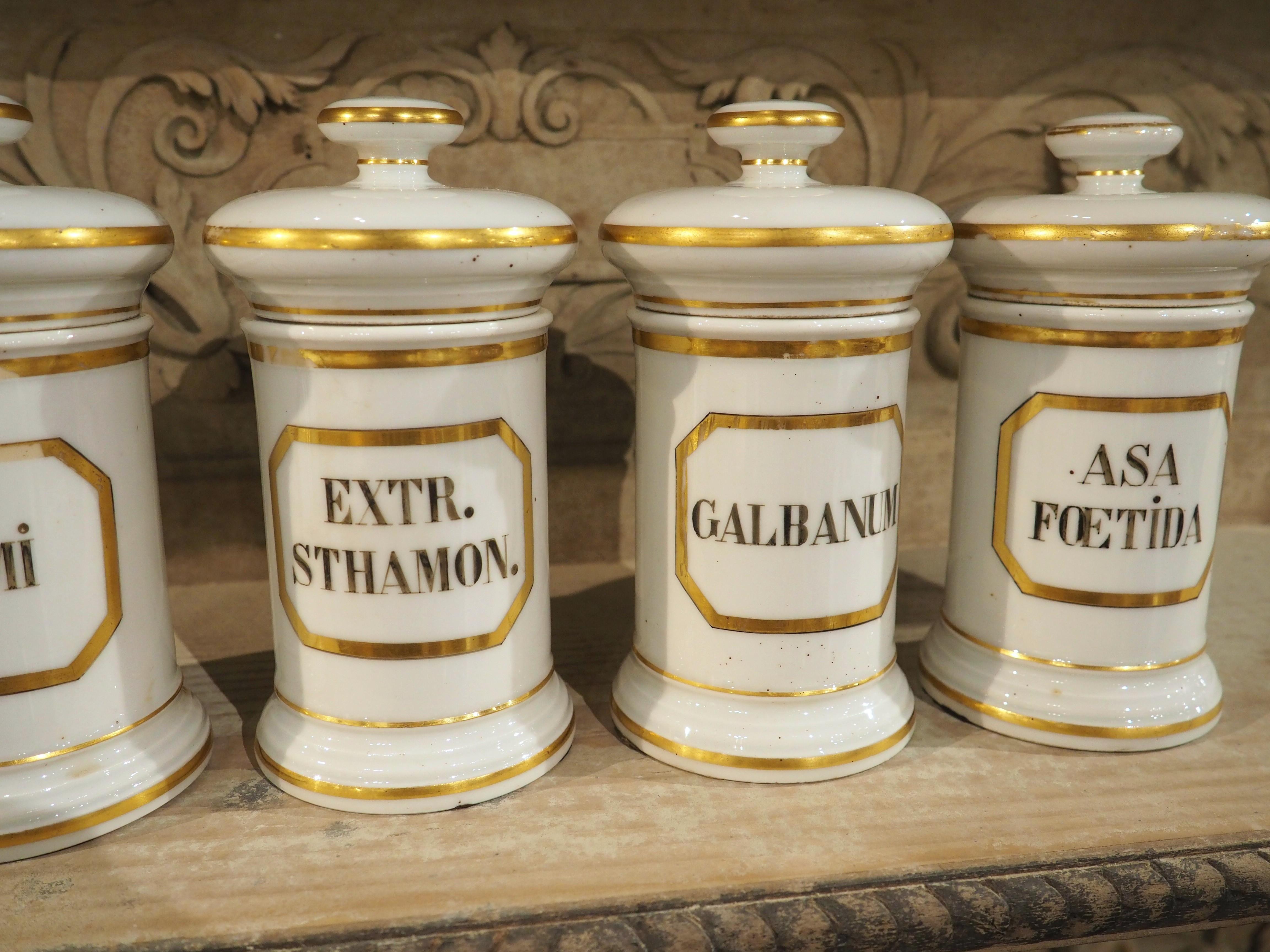 Ensemble de 10 pots d'apothicaire en porcelaine peinte à la main, années 1900 en vente 2