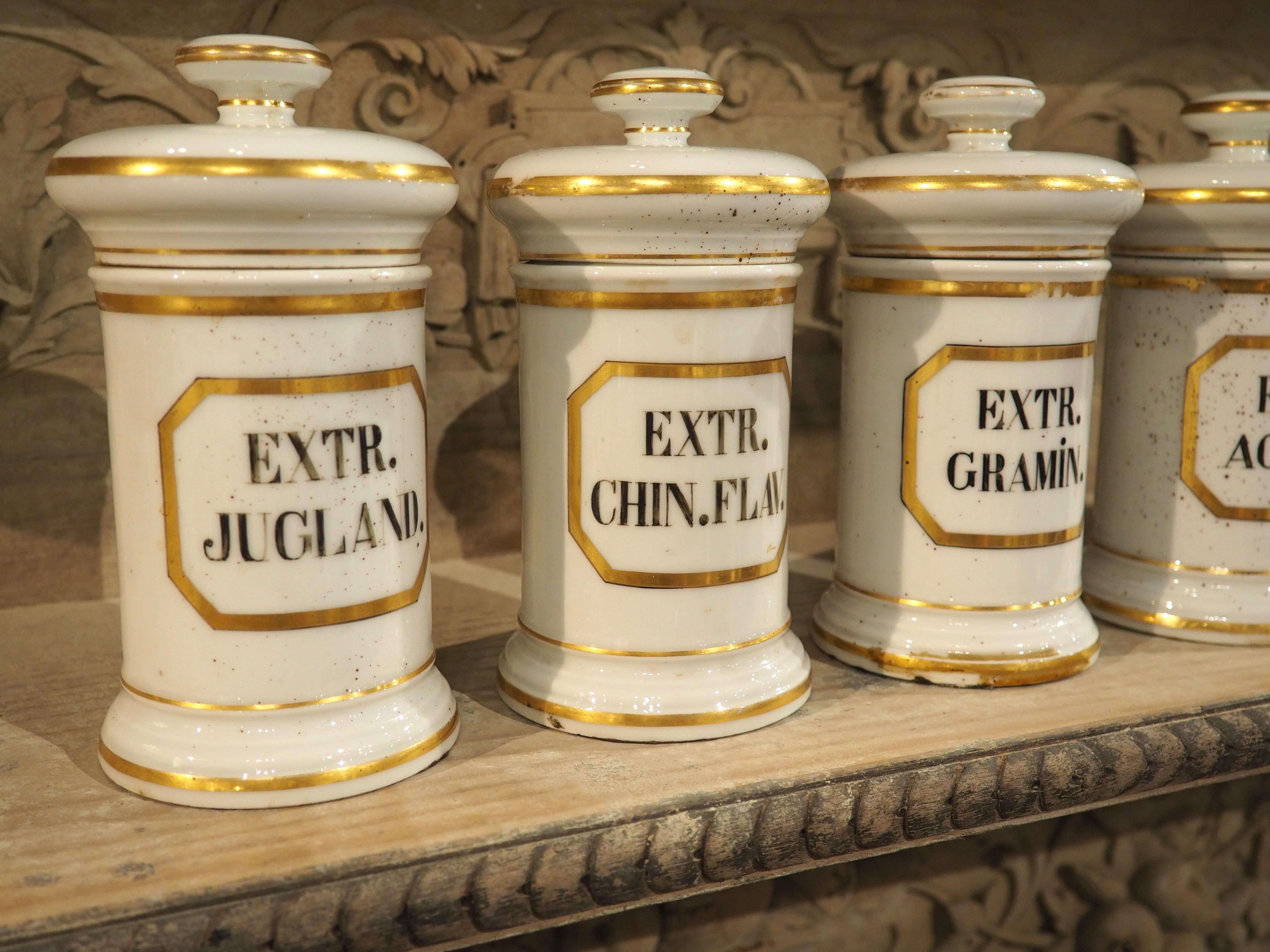 Ensemble de 10 pots d'apothicaire en porcelaine peinte à la main, années 1900 en vente 2