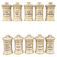 Ensemble de 10 pots d'apothicaire en porcelaine peinte à la main, années 1900