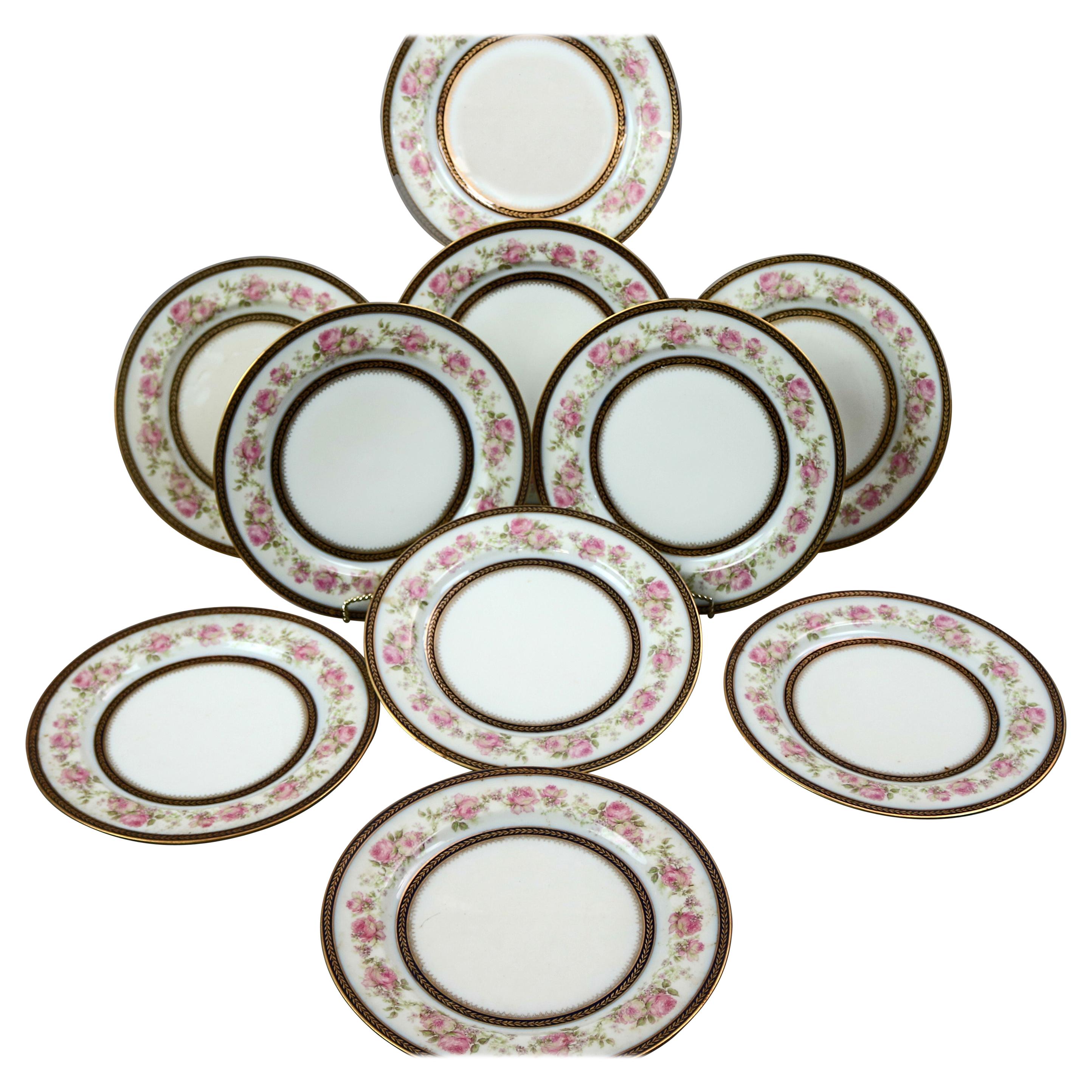 Set of 10 French Haviland Limoges Floral Hand Painted Porcelain Plates