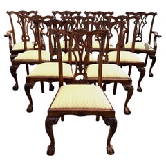 Set of 10 Mahogany Chippendale Style Carved Dining Chairs with Ball & Claw Feet