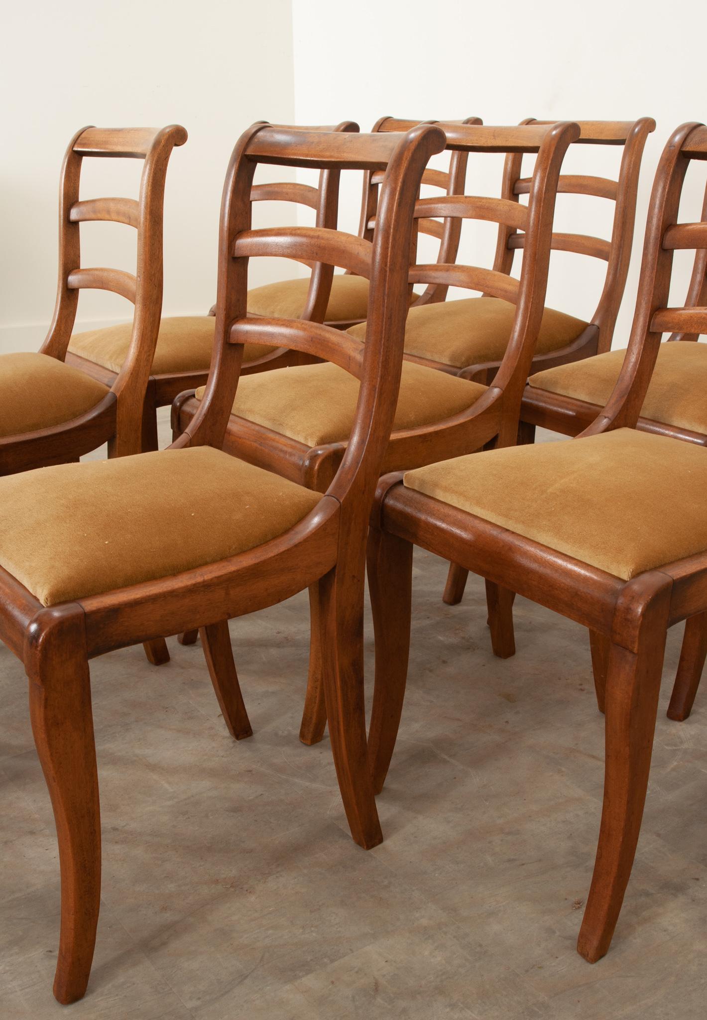 Set of 10 Mahogany Dining Chairs 2