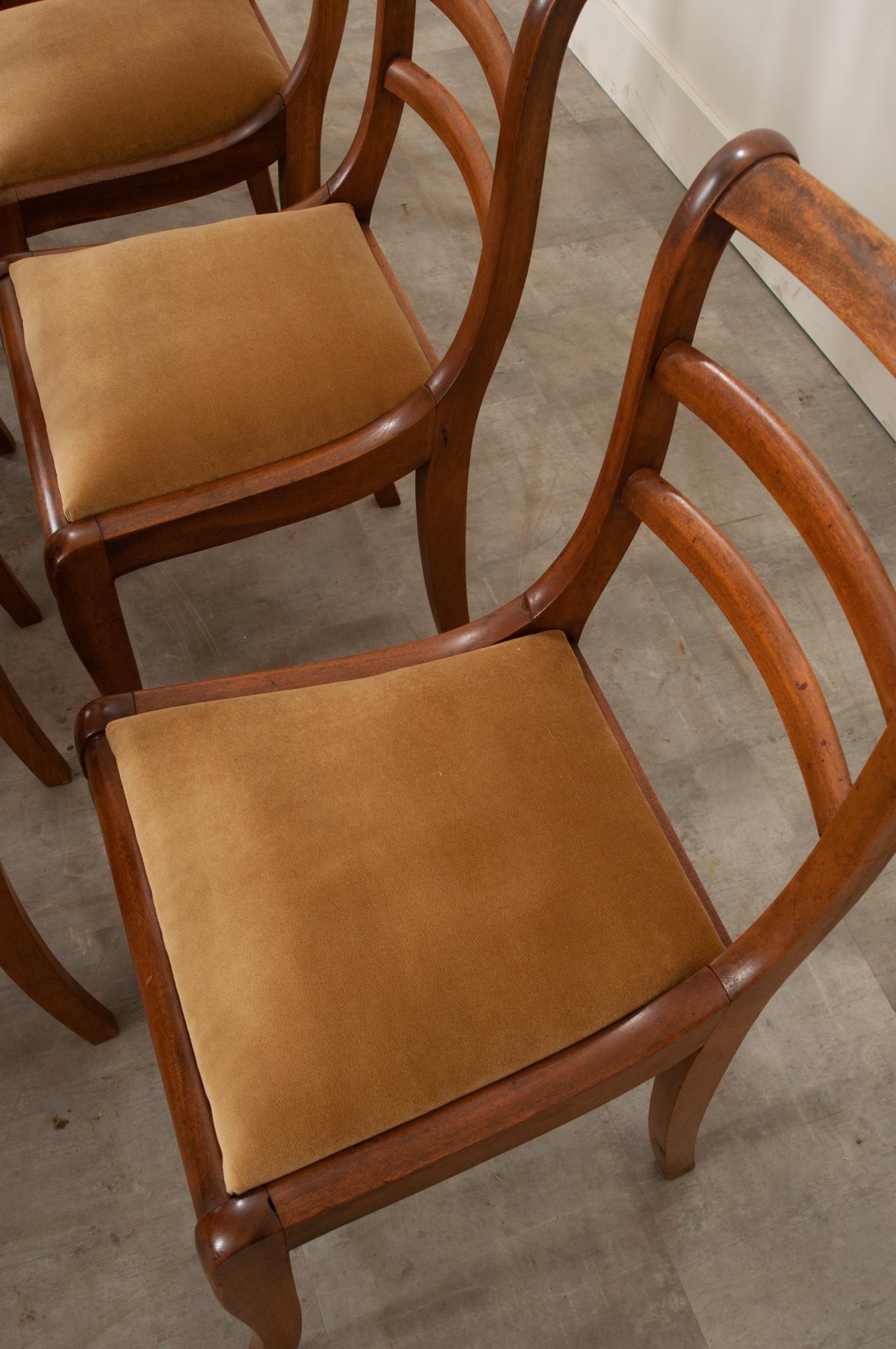 Set of 10 Mahogany Dining Chairs 3