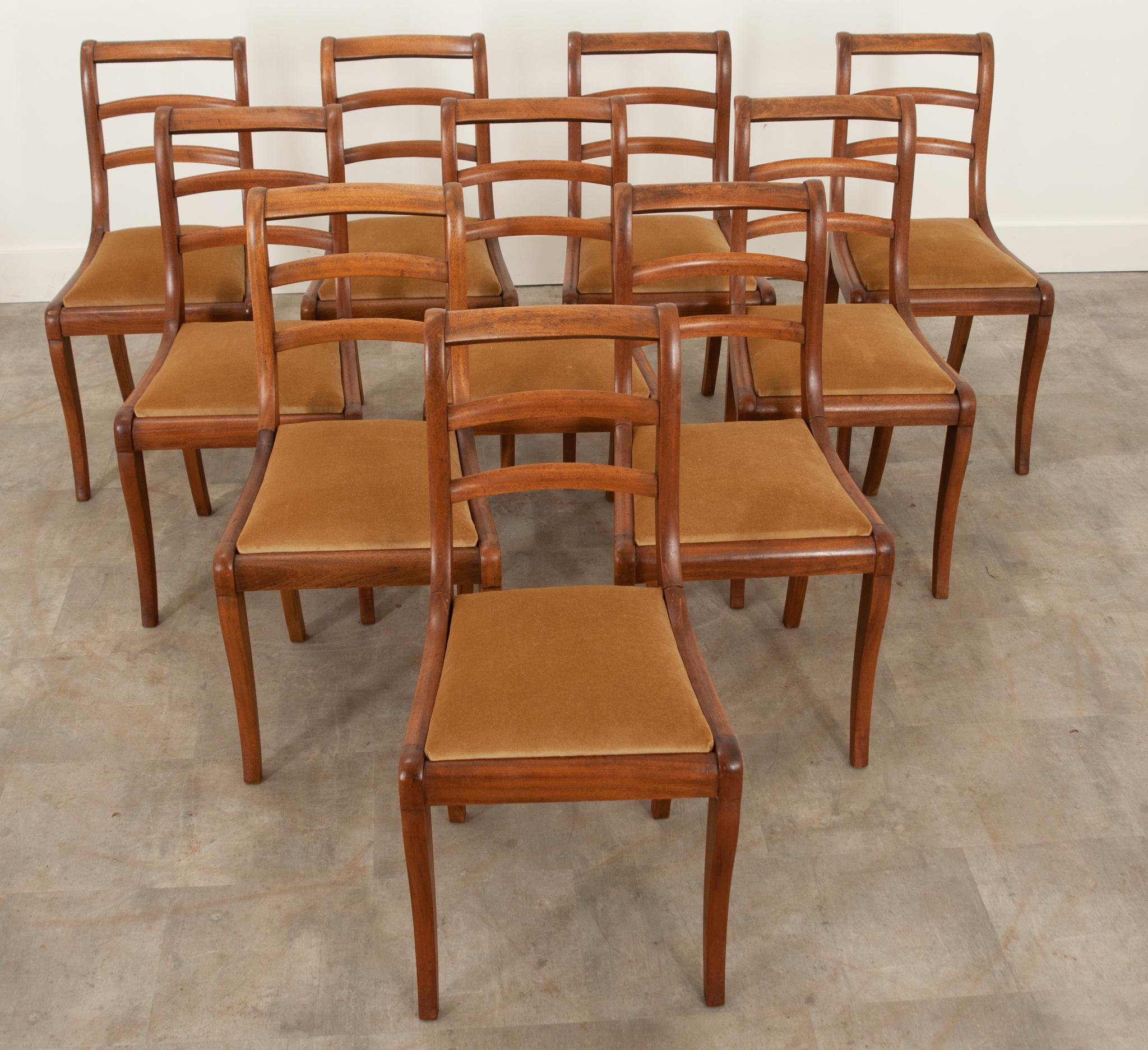 Set of 10 Mahogany Dining Chairs 1
