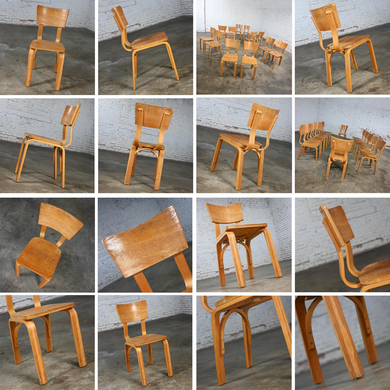 Set von 10 MCM Thonet #1216 Esszimmerstühlen, gebogene Eiche, Sperrholz, Sattelsitz, Einzelschleife im Angebot 5
