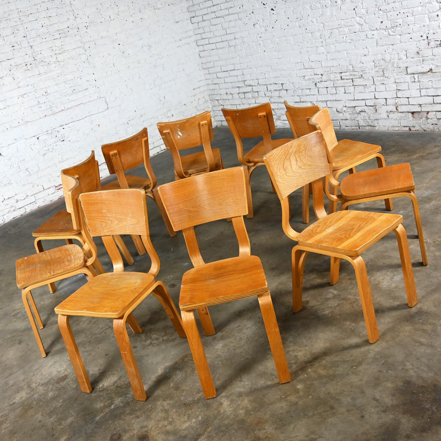 20ième siècle Lot de 10 chaises de salle à manger MCM Thonet #1216 en contreplaqué de chêne courbé, assise en selle, arc simple en vente