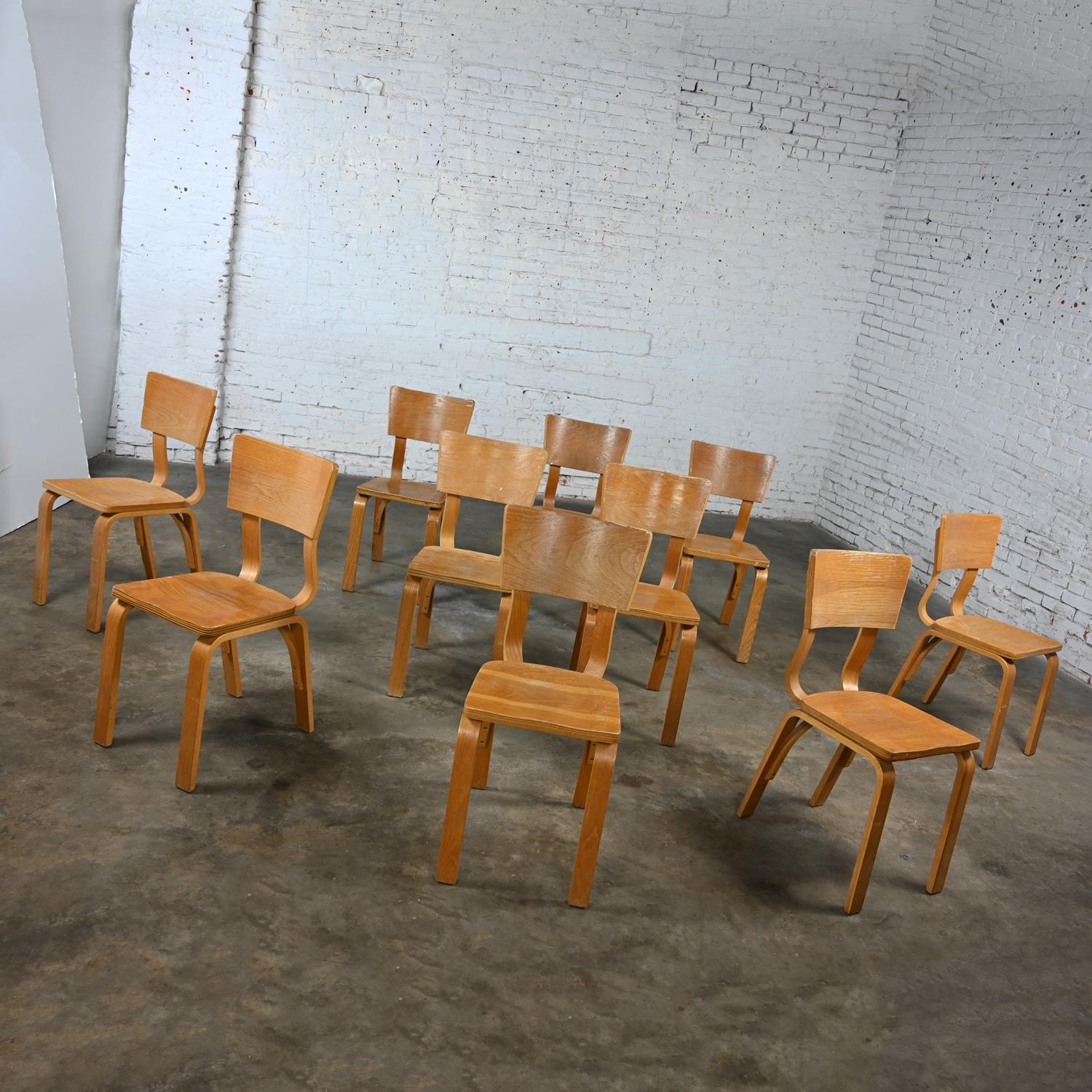 Lot de 10 chaises de salle à manger MCM Thonet #1216 en contreplaqué de chêne courbé, assise en selle, arc simple en vente 2