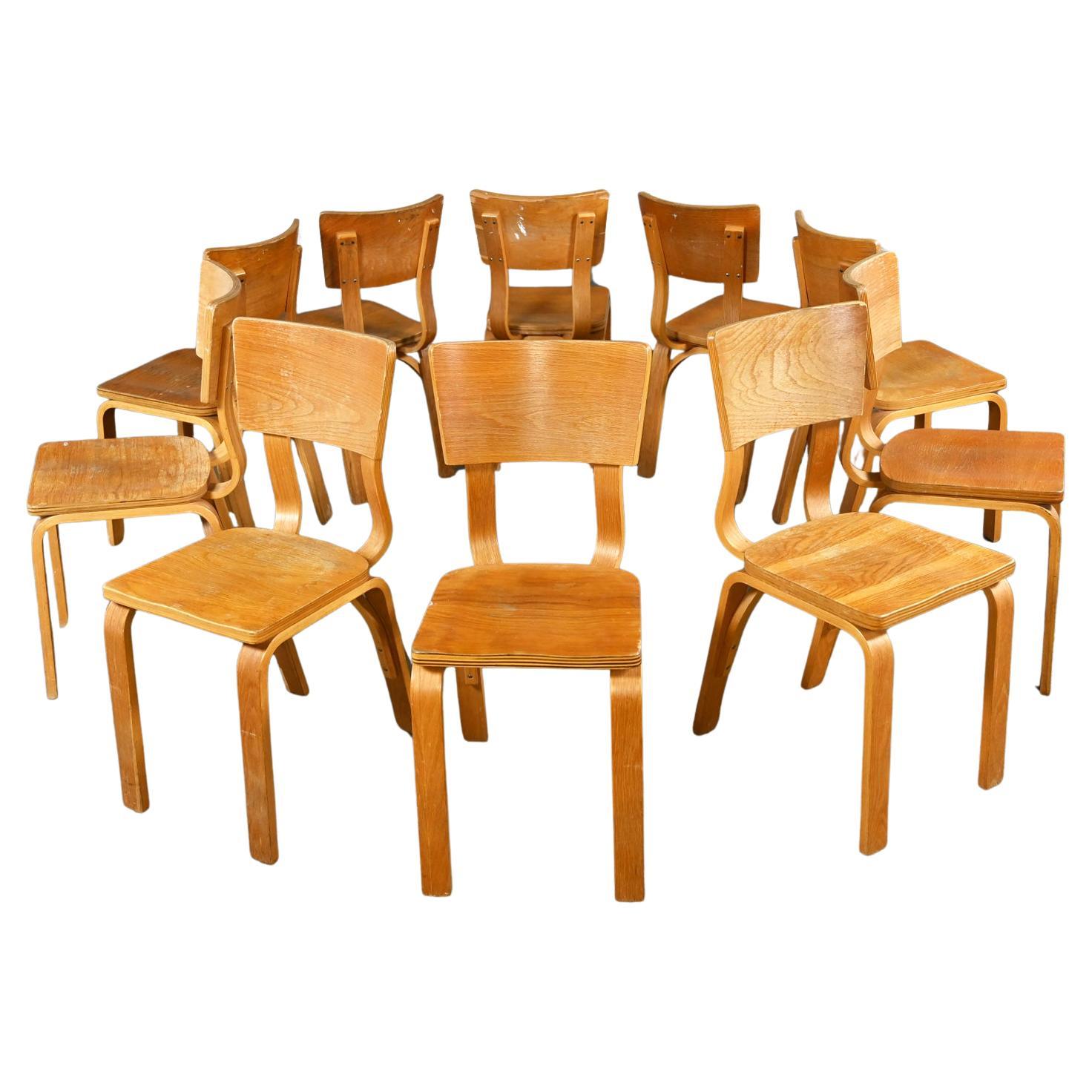 Lot de 10 chaises de salle à manger MCM Thonet #1216 en contreplaqué de chêne courbé, assise en selle, arc simple en vente