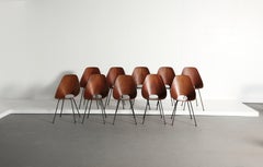 Set of 10 Medea Chairs by Vittorio Nobili, Fratelli Tagliabue, Italy, 1950s