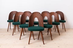 Set of 10 Mid Century Dining Chairs by A. Šuman, Reupholstery Options
