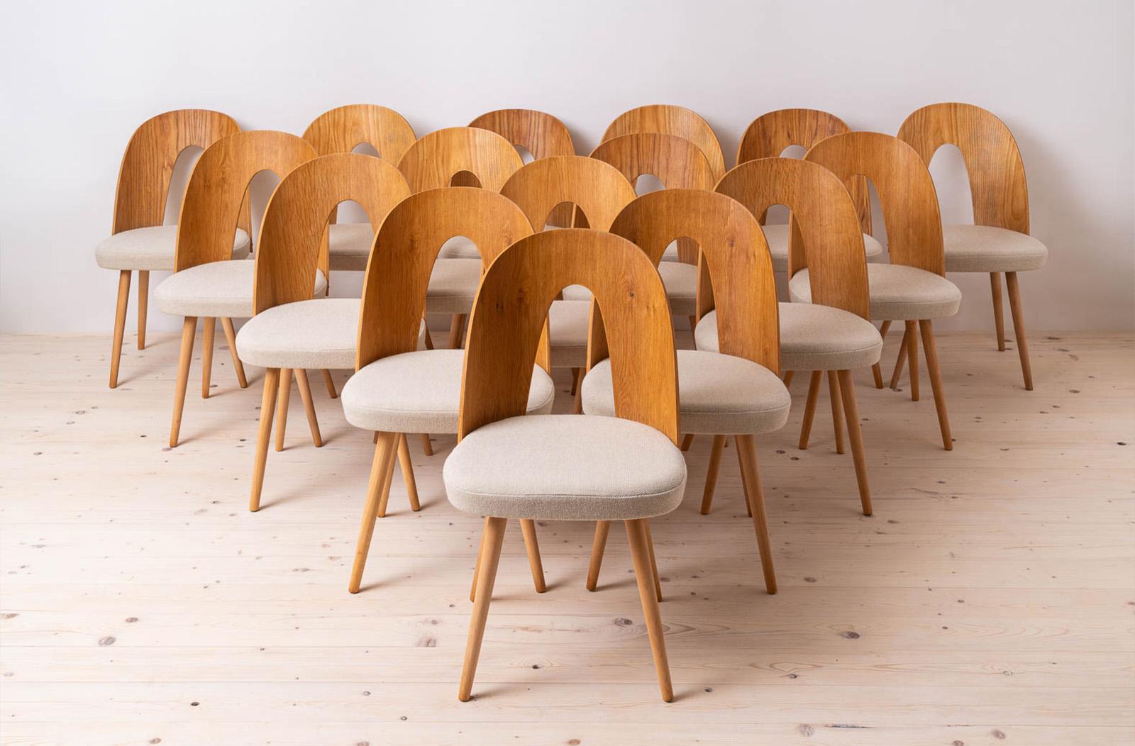 This set of ten vintage dining chairs was designed by Czech designer Antonin Šuman in the 1960s. The chairs have been completely restored finished with high-quality oil that gave them beautiful and natural finish. This set is reupholstered with