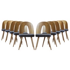 Set von 10 Mid-Century-Esszimmerstühlen von a.uman, anpassbare Polsterung verfügbar