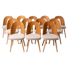 Set di 10 sedie da pranzo del MidCentury di A.Šuman, rivestimento personalizzabile disponibile