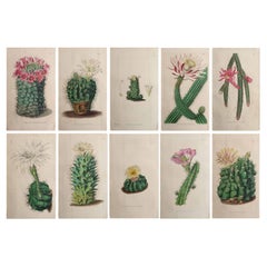 Decorative Art